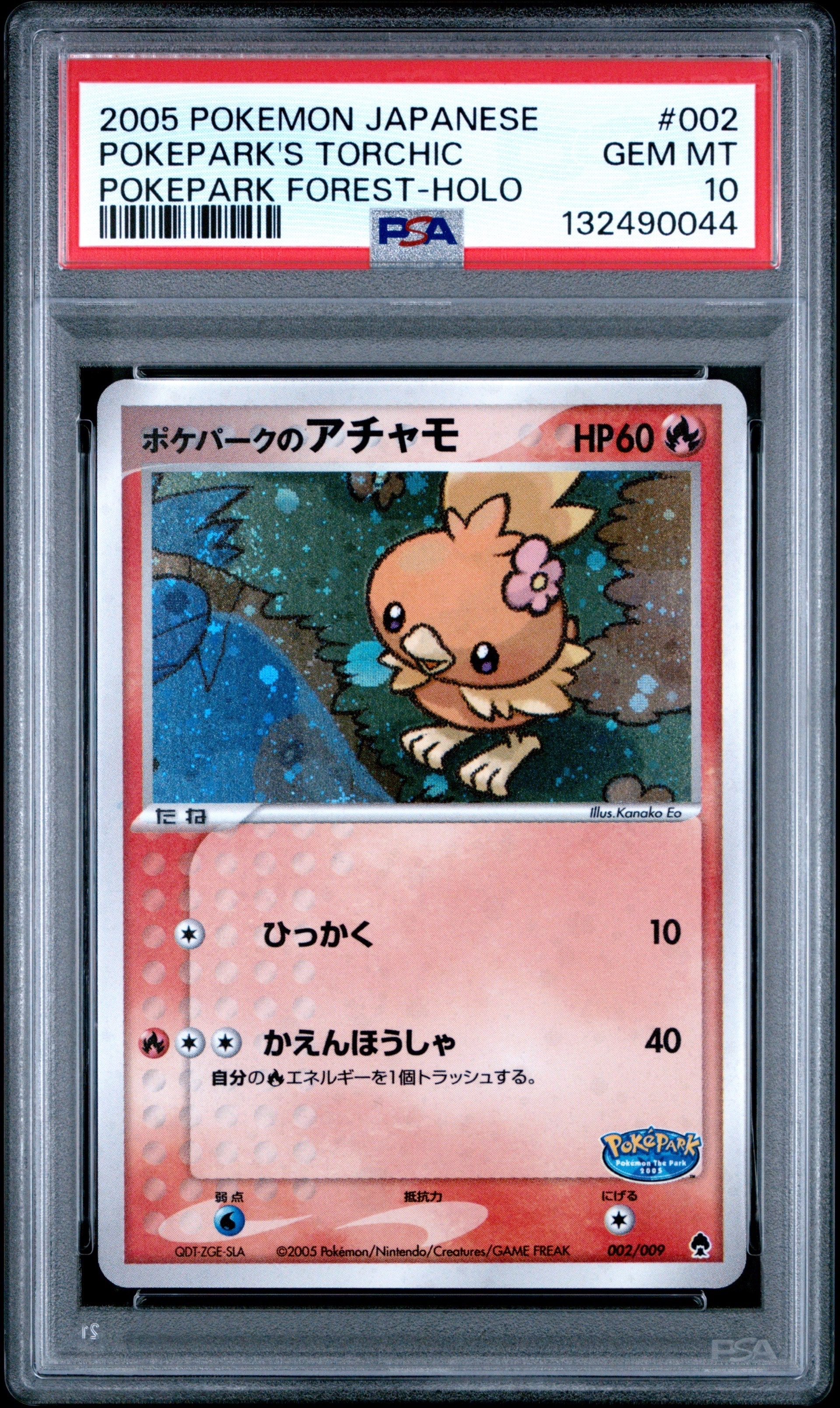 ポケパークのアチャモ [PCG 002/009](ポケパークプレミアムファイル