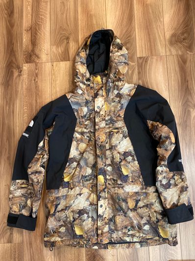 Supreme x The North Face Leaves Mountain Light Jacket "Leaves"