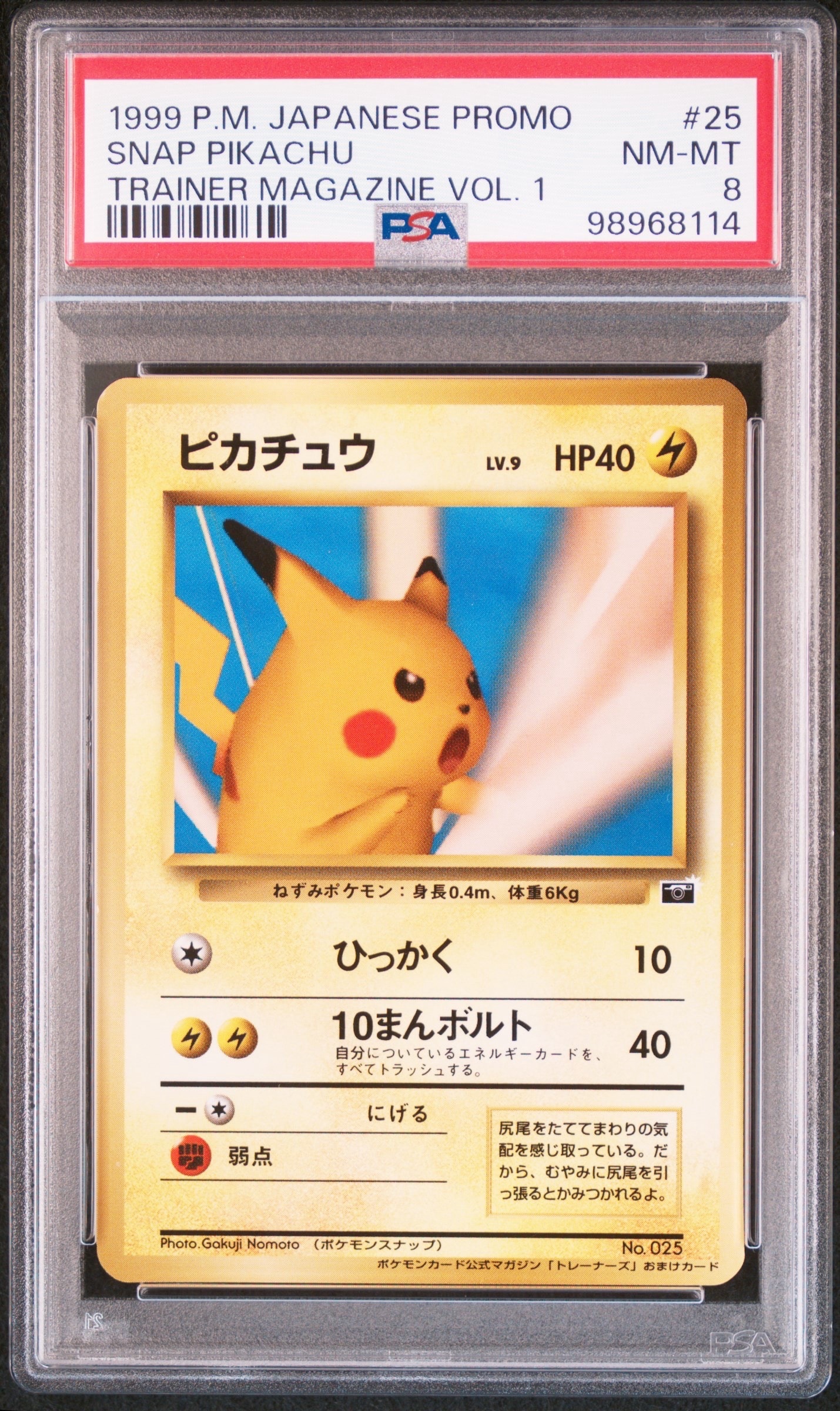 ピカチュウ P : 旧裏 [PMCG-P No.025](プロモーションカード「ポケモンカードトレーナーズVol.1」)