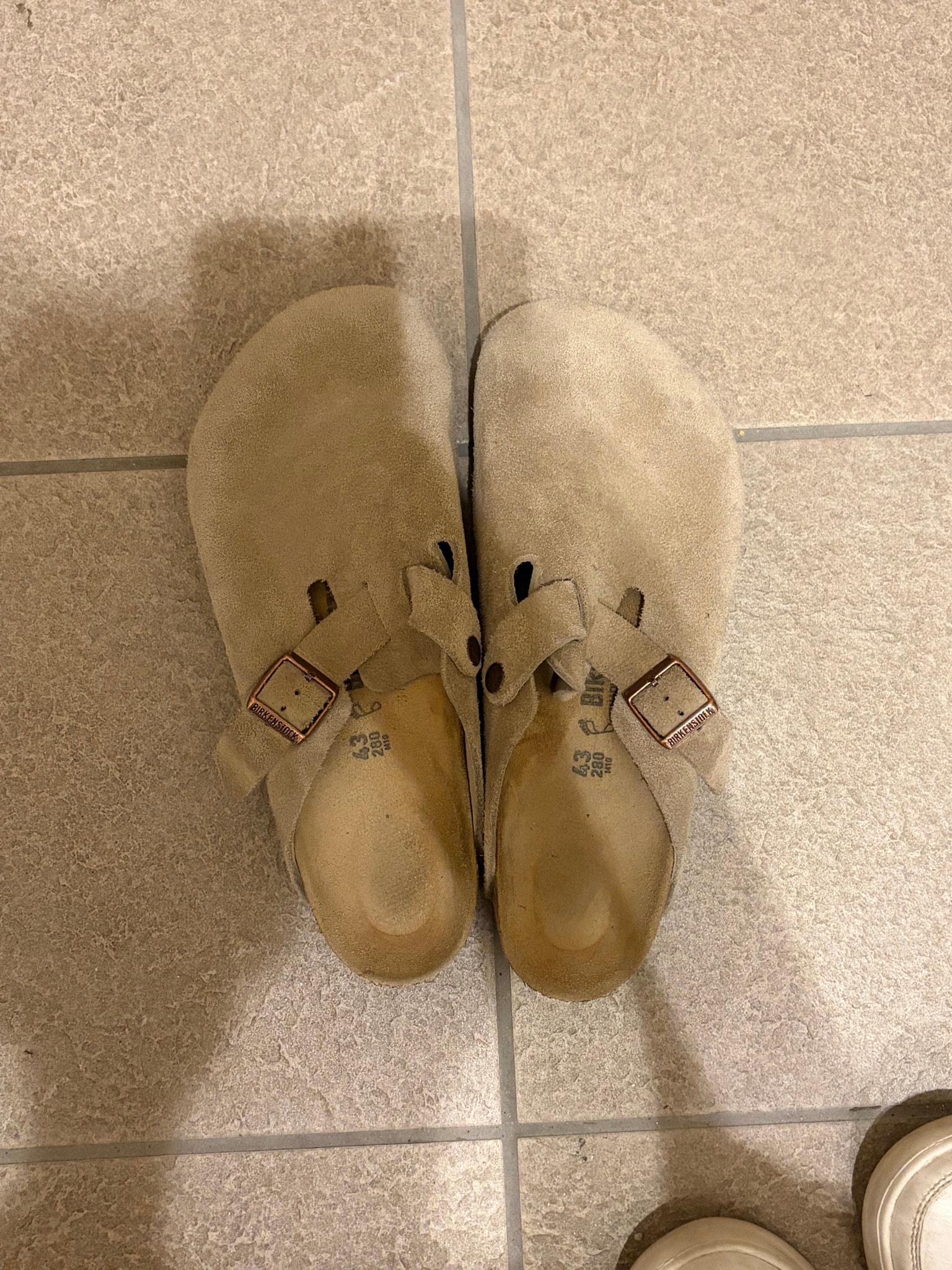 BIRKENSTOCK Boston "Taupe" (Original Footbed)