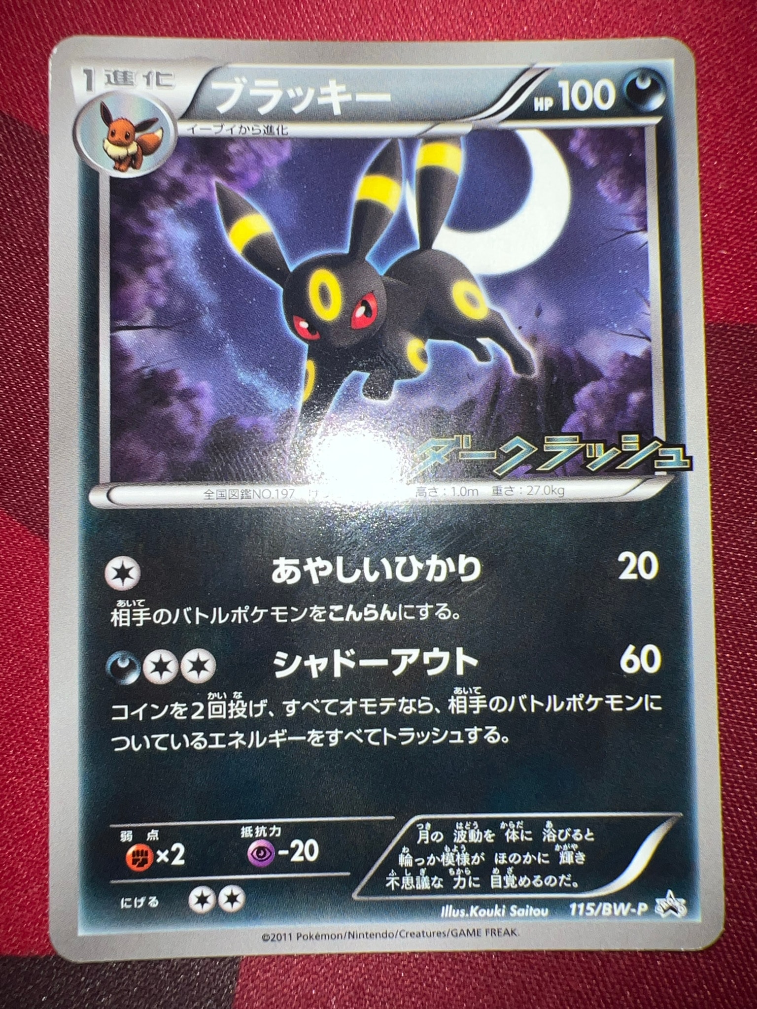 PSA10】ブラッキー P [BW-P 115/BW-P](プロモーションカード「ダーク