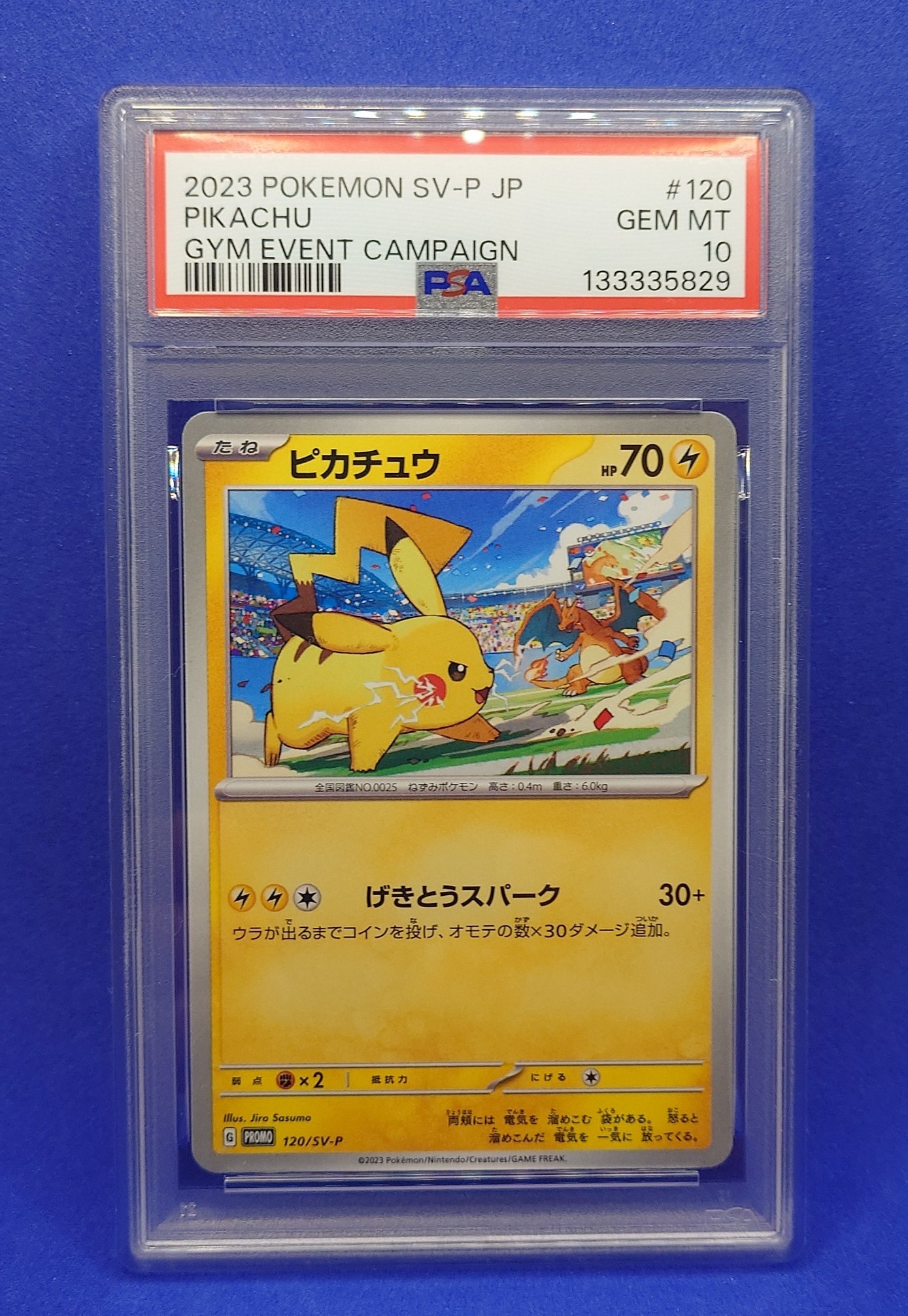 ピカチュウ: プロモ [SV-P 120](プロモーションカード「SV-P」)