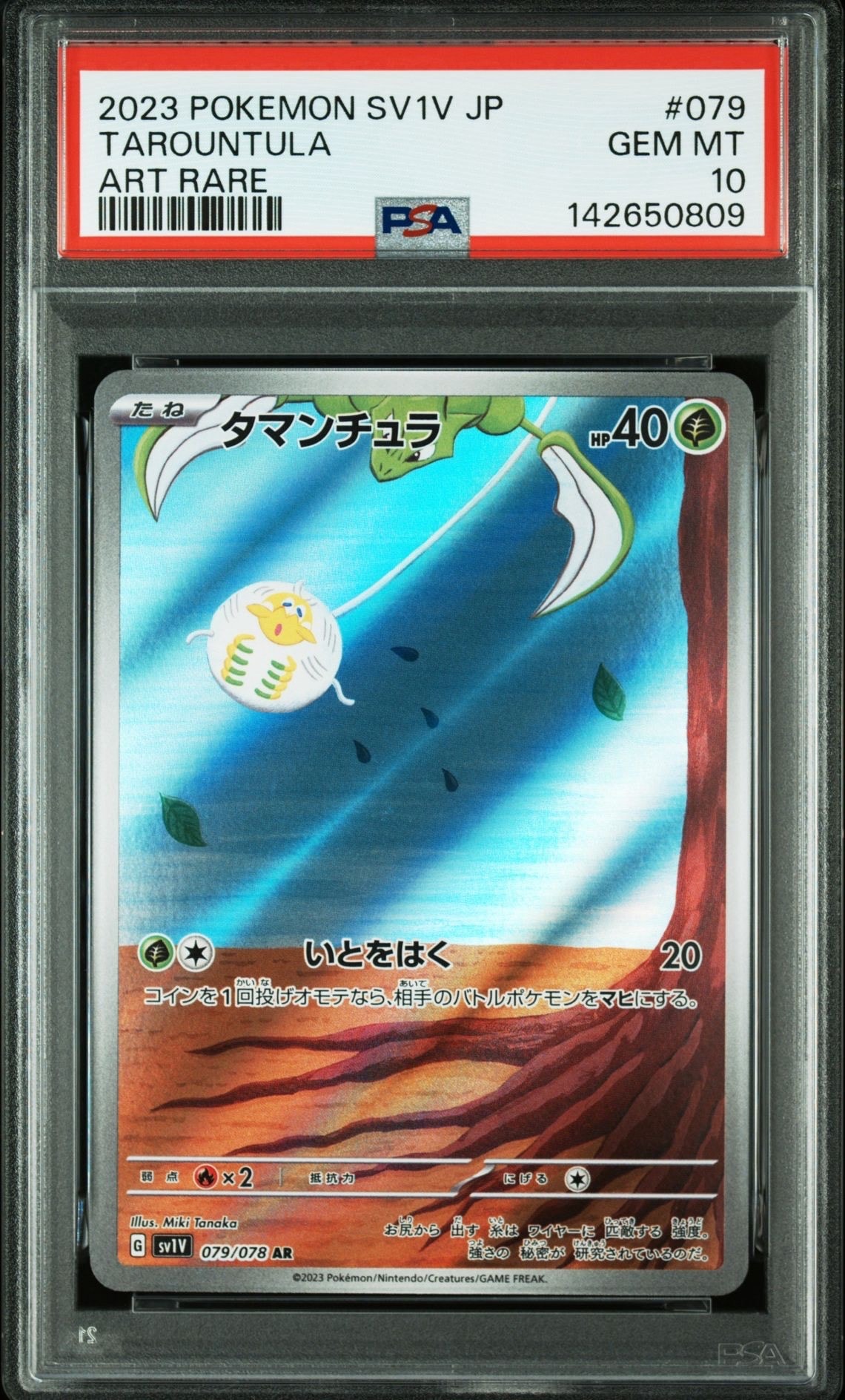 タマンチュラ AR[SV1V 079/078](スカーレット&バイオレット 拡張パック「バイオレットex」)