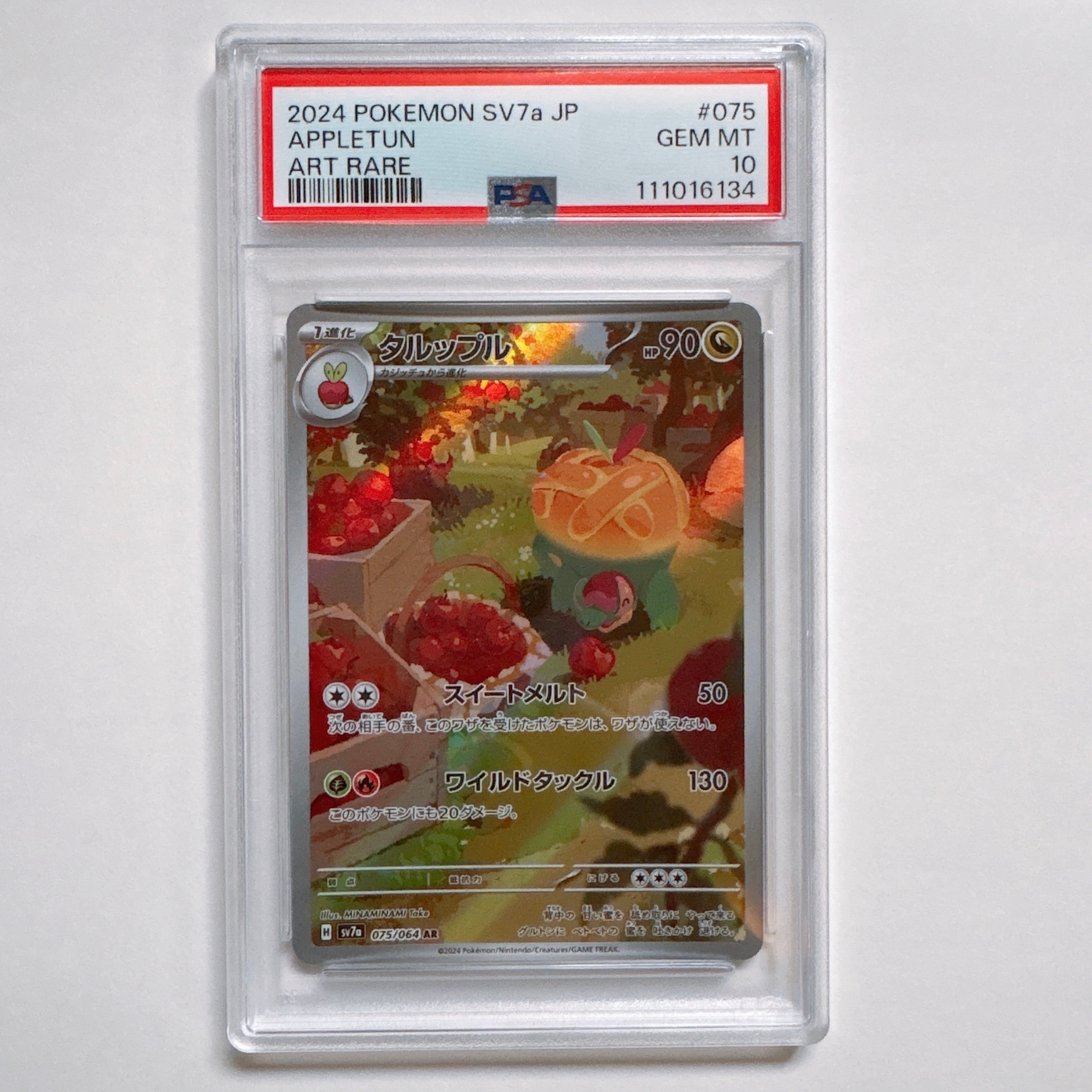 タルップル AR [SV7a 075/064](強化拡張パック「楽園ドラゴーナ」)