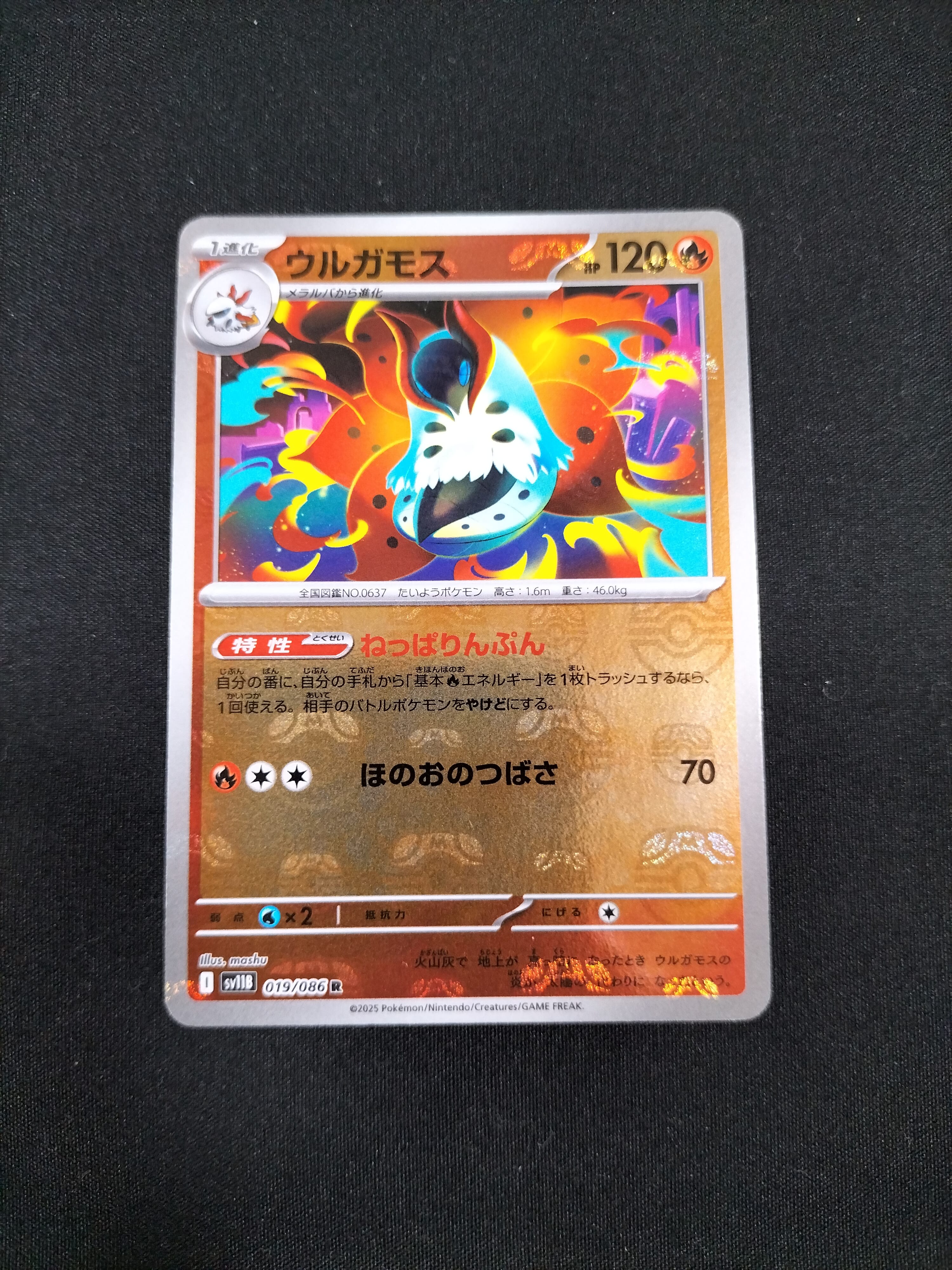 ウルガモス R :マスターボールミラー [SV11B 019/086](拡張パック「ブラックボルト」)