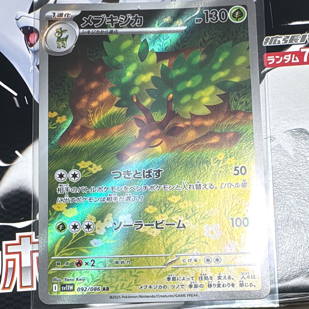メブキジカ AR [SV11W 092/086](拡張パック「ホワイトフレア」)