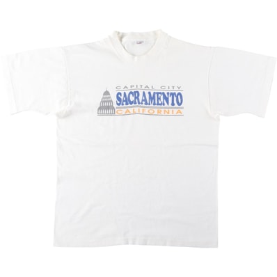 古着 90年代 フルーツオブザルーム FRUIT OF THE LOOM プリントTシャツ USA製 メンズL相当 ヴィンテージ/eaa619183