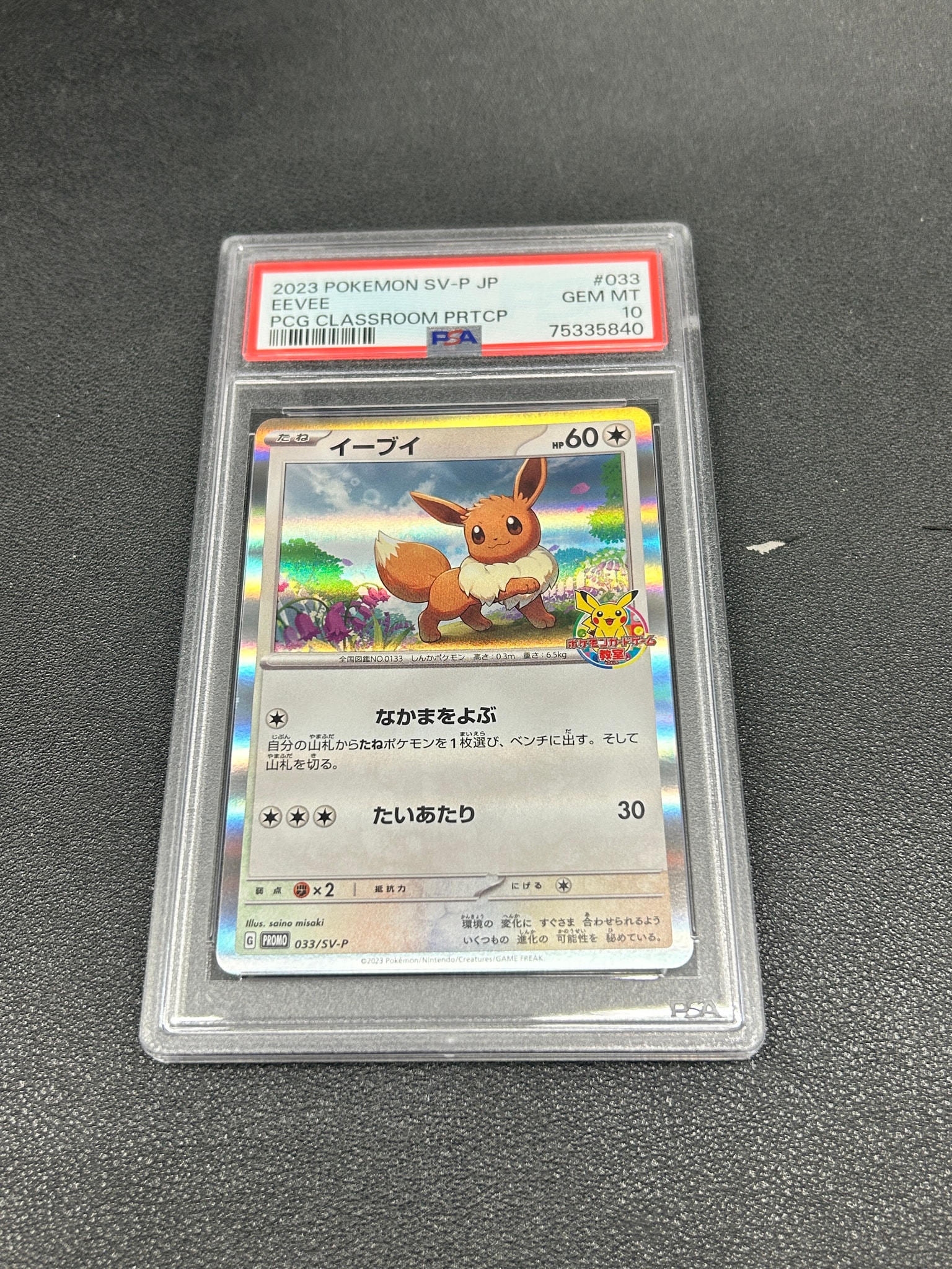 イーブイ: プロモ [SV-P 033](「 ポケモンカードゲーム教室