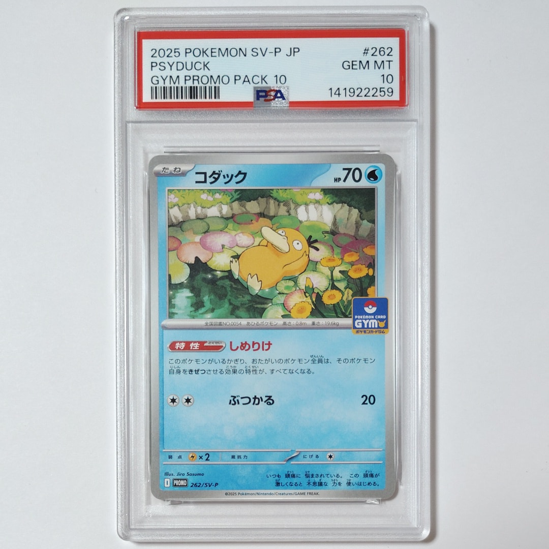 コダック P [SV-P 262](プロモカードパック「第10弾」)の新品/中古