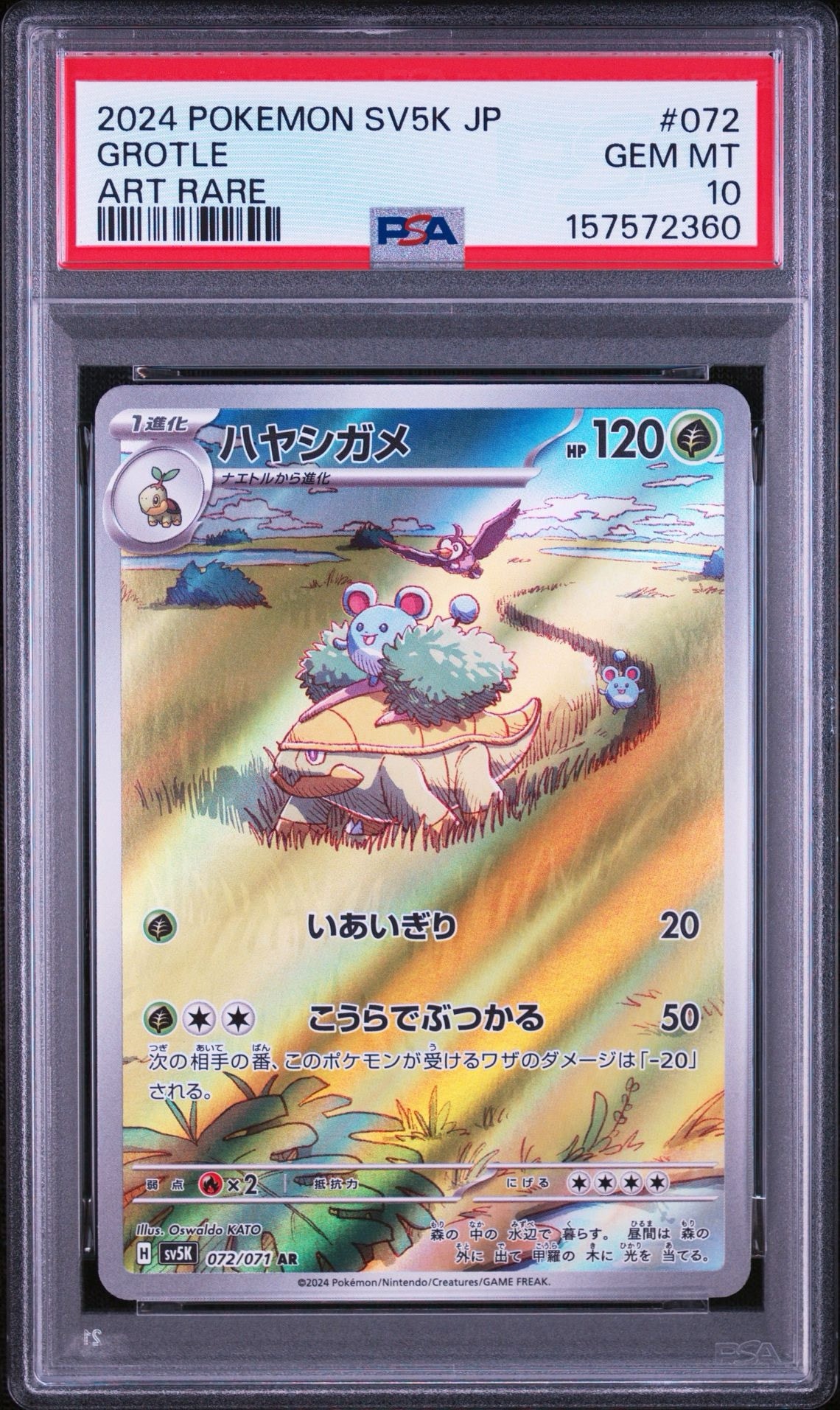 Grotle AR [SV5K 072/071](Expansion Pack "Wild Force" )