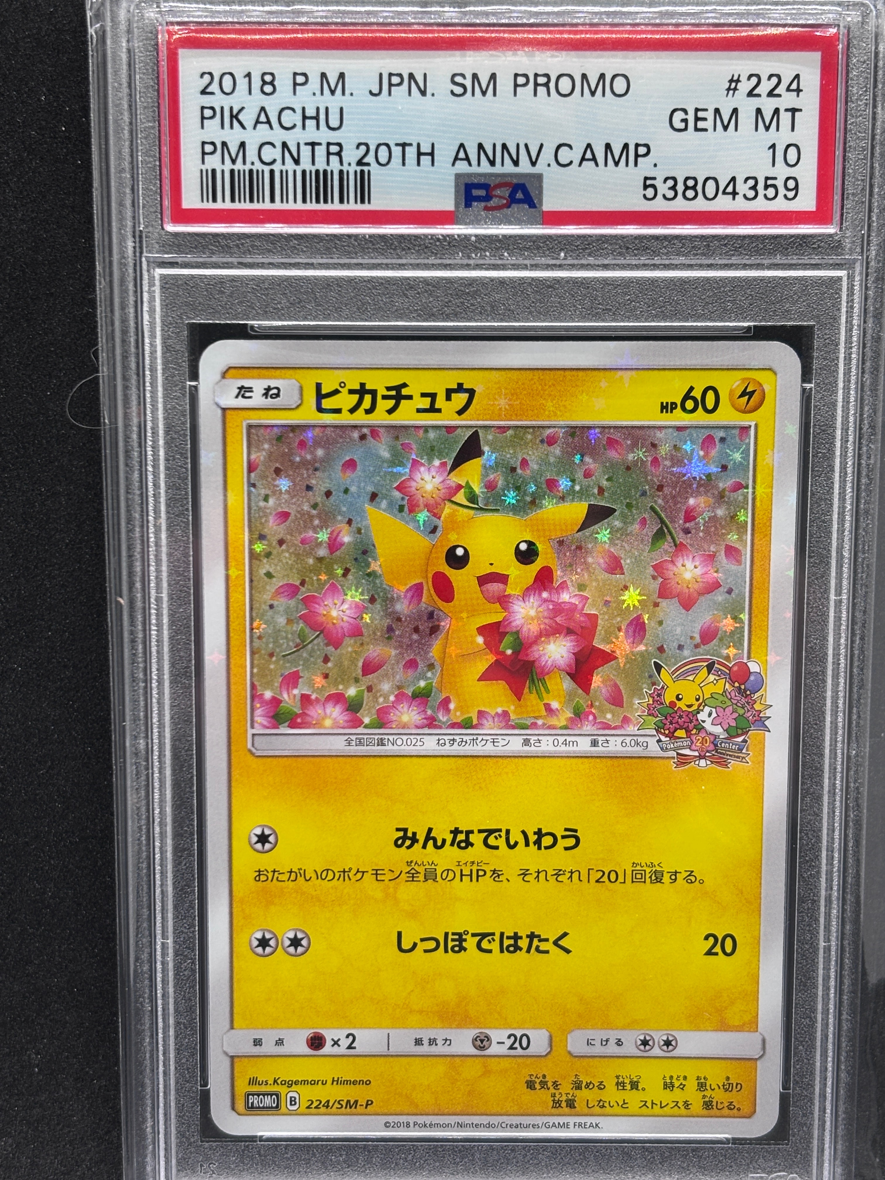 ピカチュウ: プロモ[SM-P 224](プロモーションカード「SM-P」)