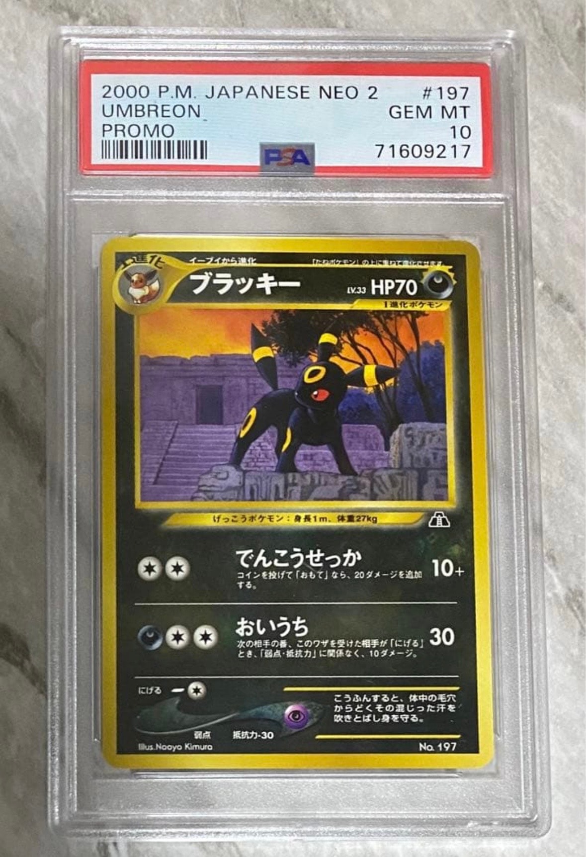 ブラッキープレミアムファイル2: 旧裏[neoP2 No.197](プレミアムファイル2)