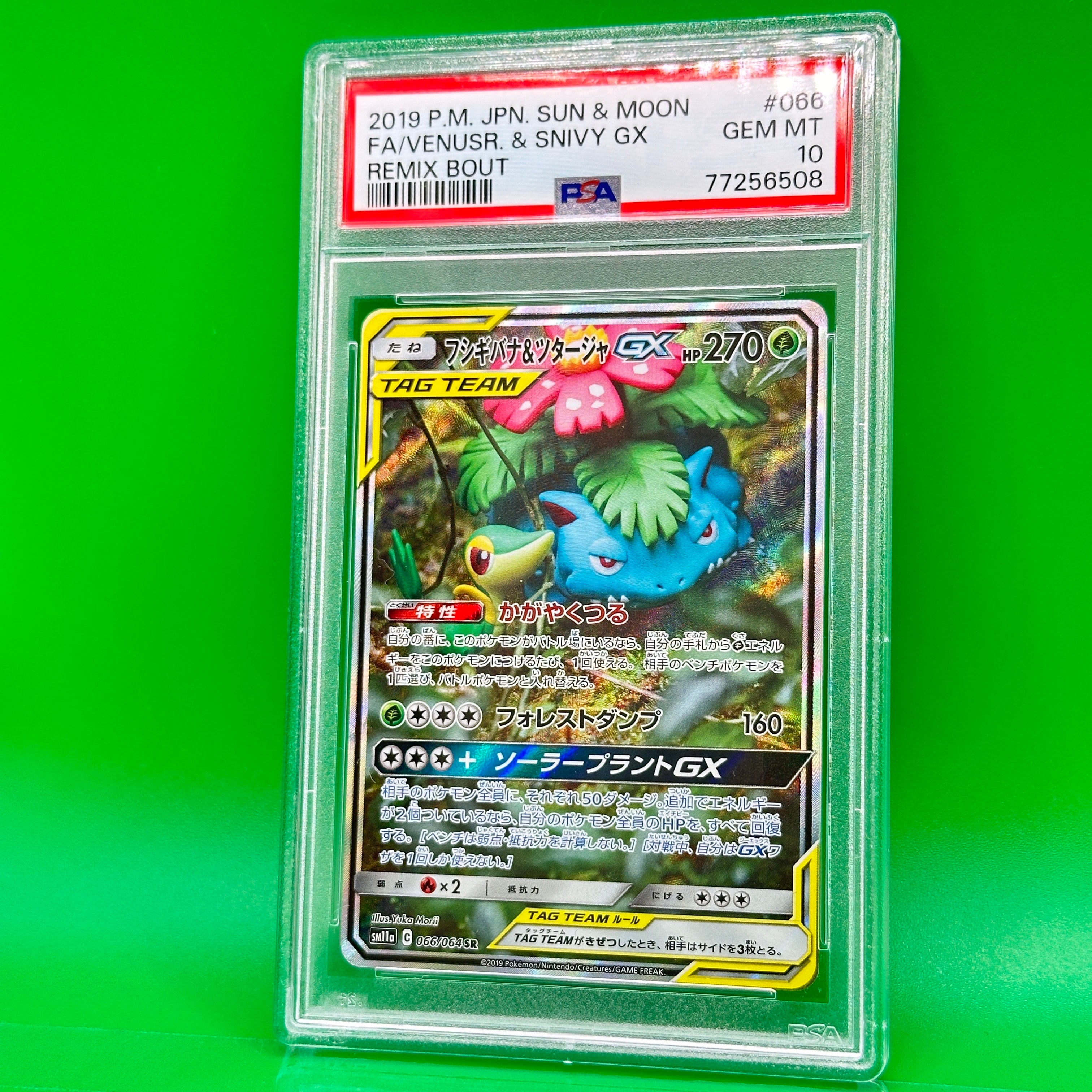 フシギバナ&ツタージャGX SR: SA[SM11a 066/064](強化拡張パック「リミックスバウト」)