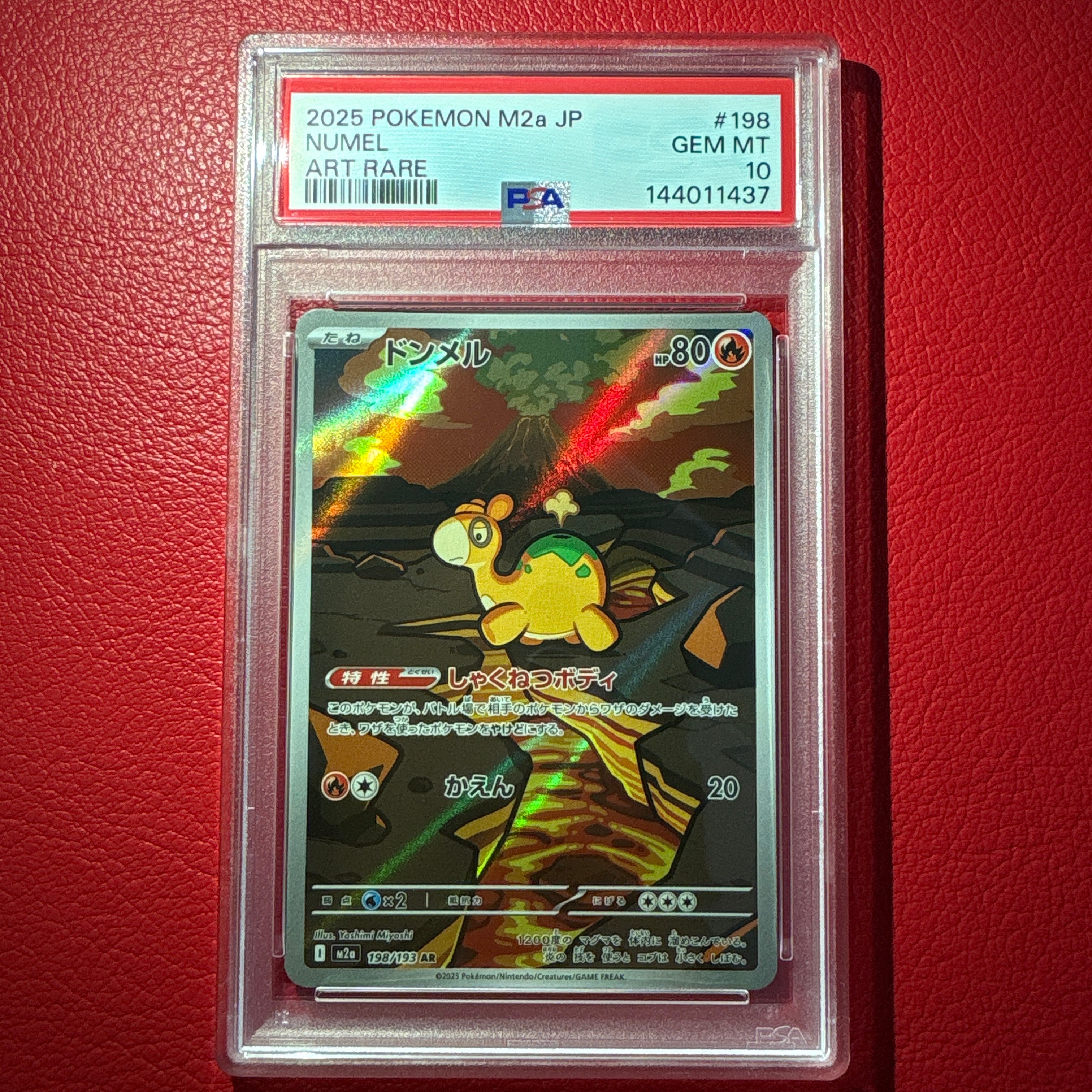 ドンメル AR [M2a 198/193](ハイクラスパック「MEGAドリームex」)