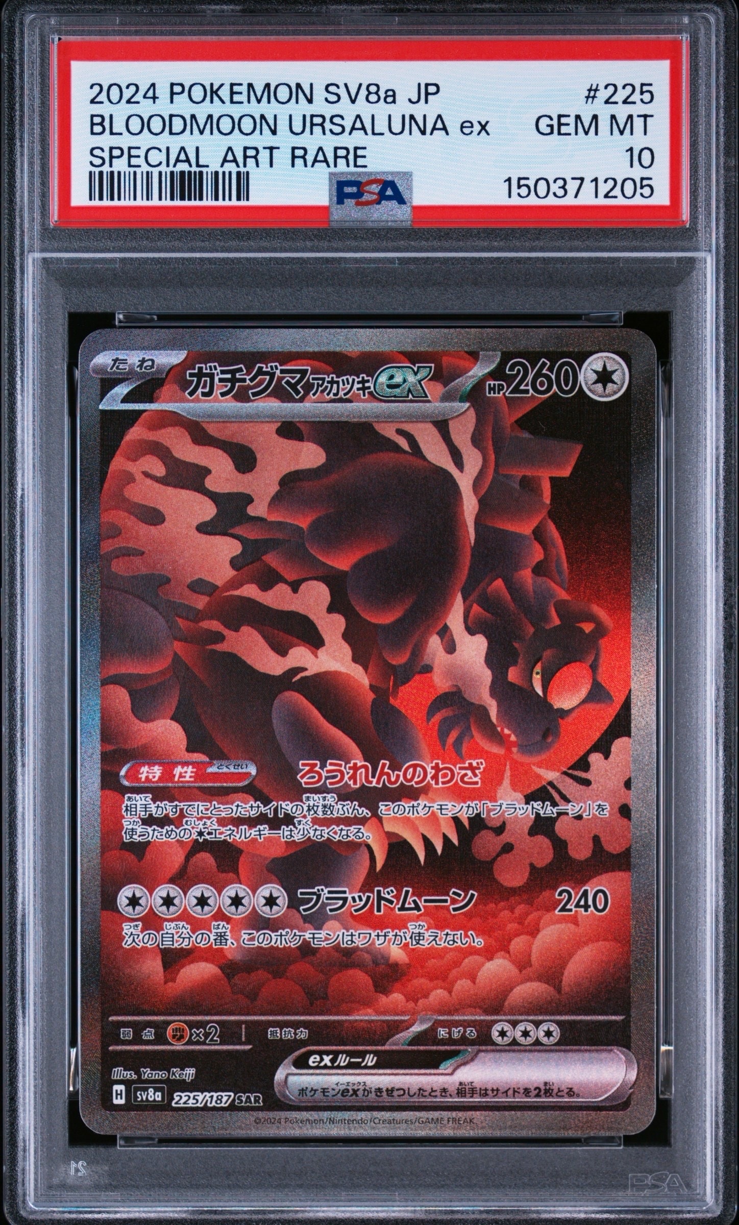 ガチグマ アカツキex SAR [SV8a 225/187](ハイクラスパック「テラス