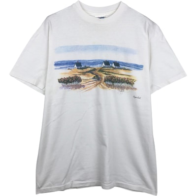 古着 90年代 ヘインズ Hanes BEEFY-T アートTシャツ USA製 メンズL相当 ヴィンテージ/eaa648801
