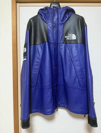 Supreme x The North Face Leather Mountain Parka "Purple"