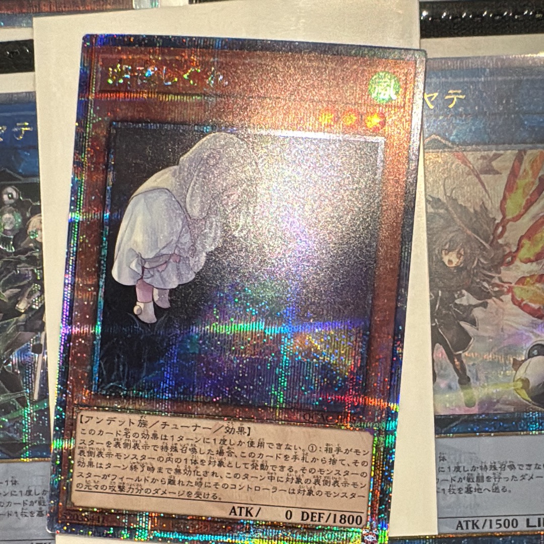 朔夜しぐれ 25th SE [QCAC-JP053](クォーター・センチュリー・アート・コレクション)