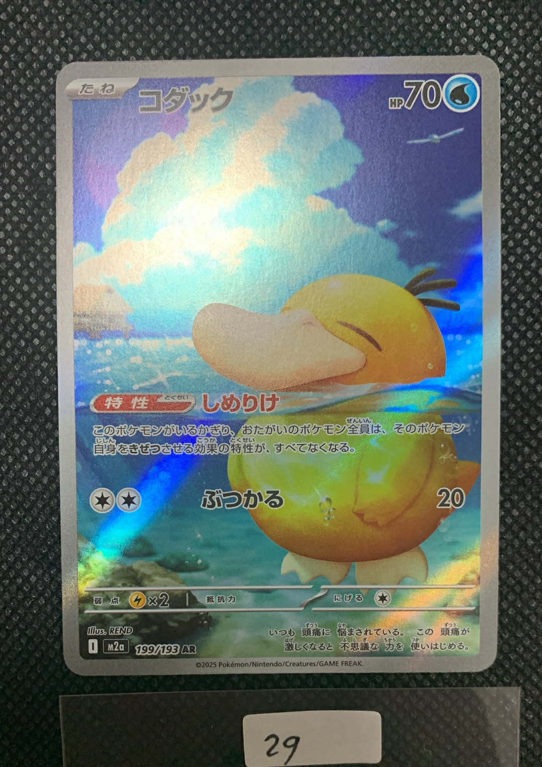 コダック AR [M2a 199/193](ハイクラスパック「MEGAドリームex」)