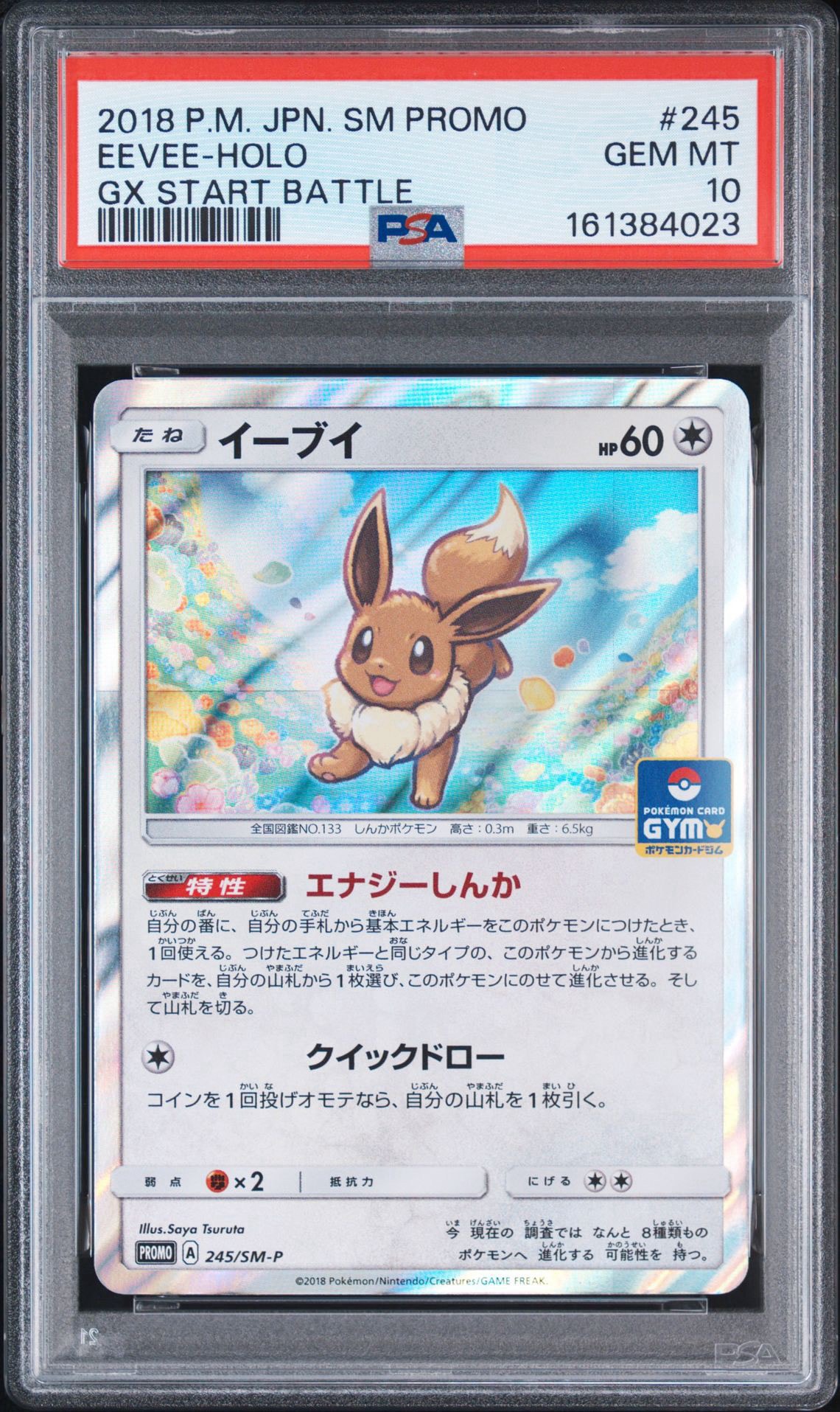 Eevee P [SM-P 245](Promotional Cards "GX Start Battle ~Get Eevee~")