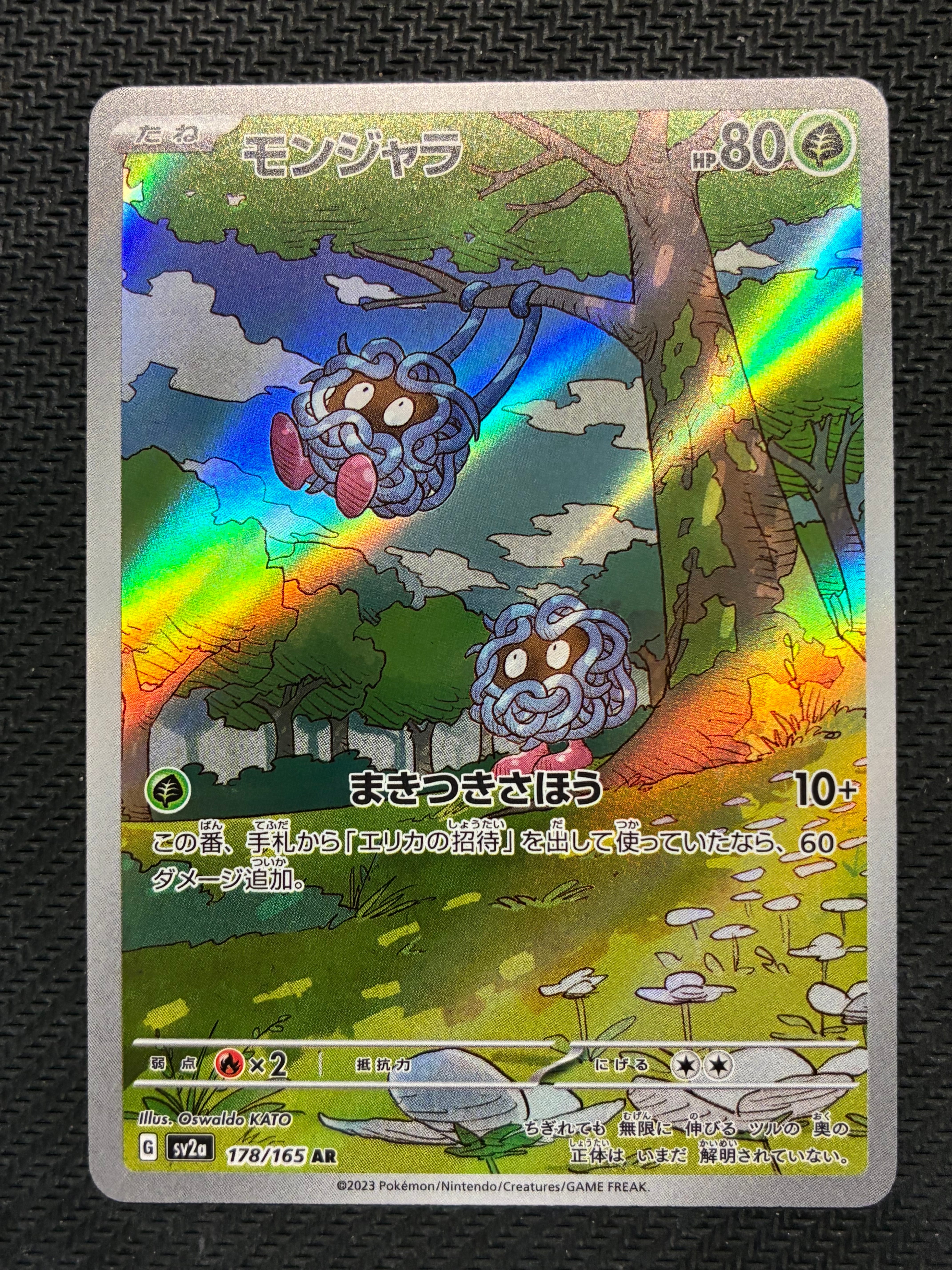 フシギバナ: プロモ[S8a-P 002/025](プロモカードパック 25th