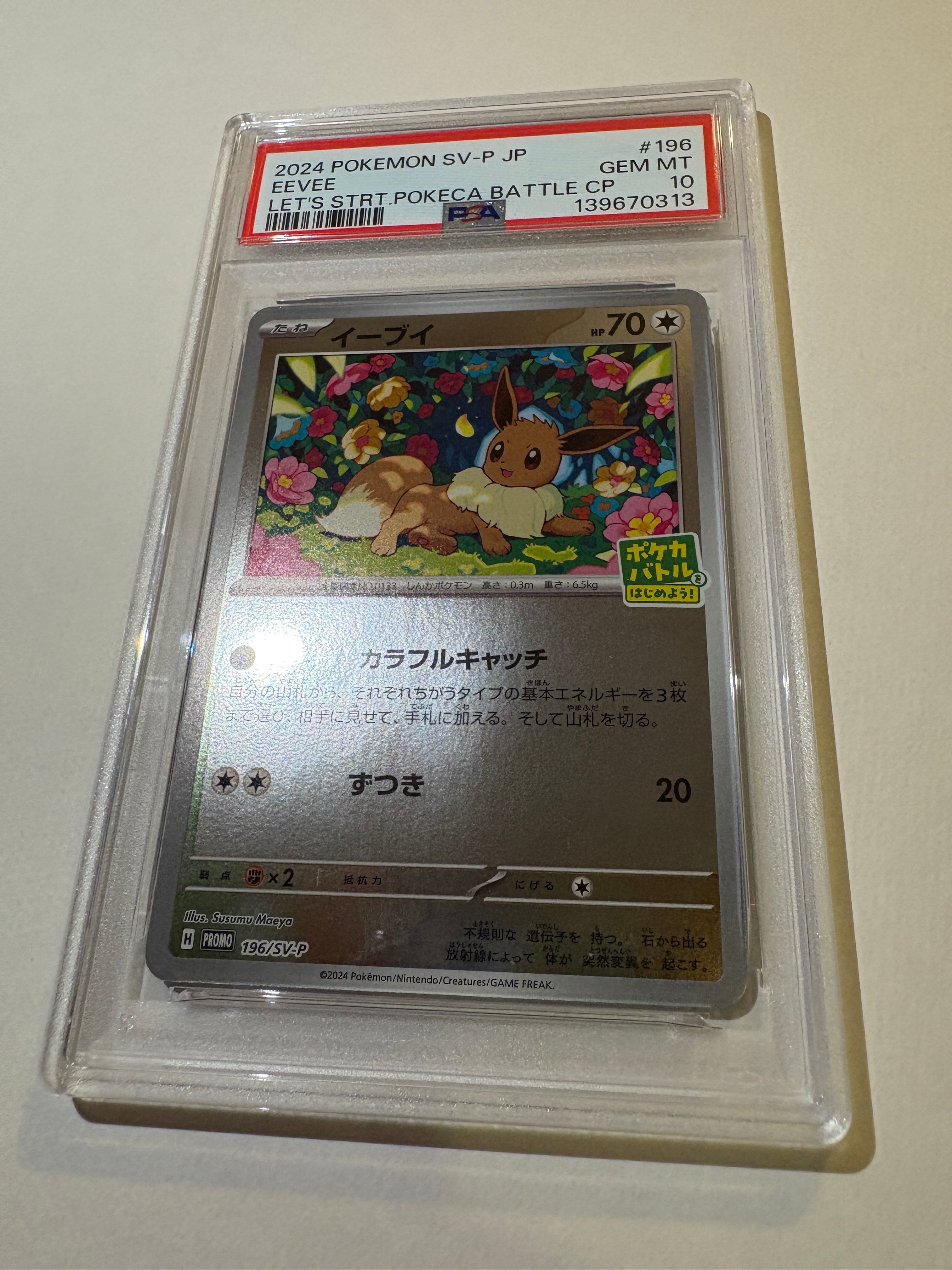 イーブイ P [SV-P-SM 196](プロモカードパック「ポケカバトルをはじめよう!キャンペーン」)