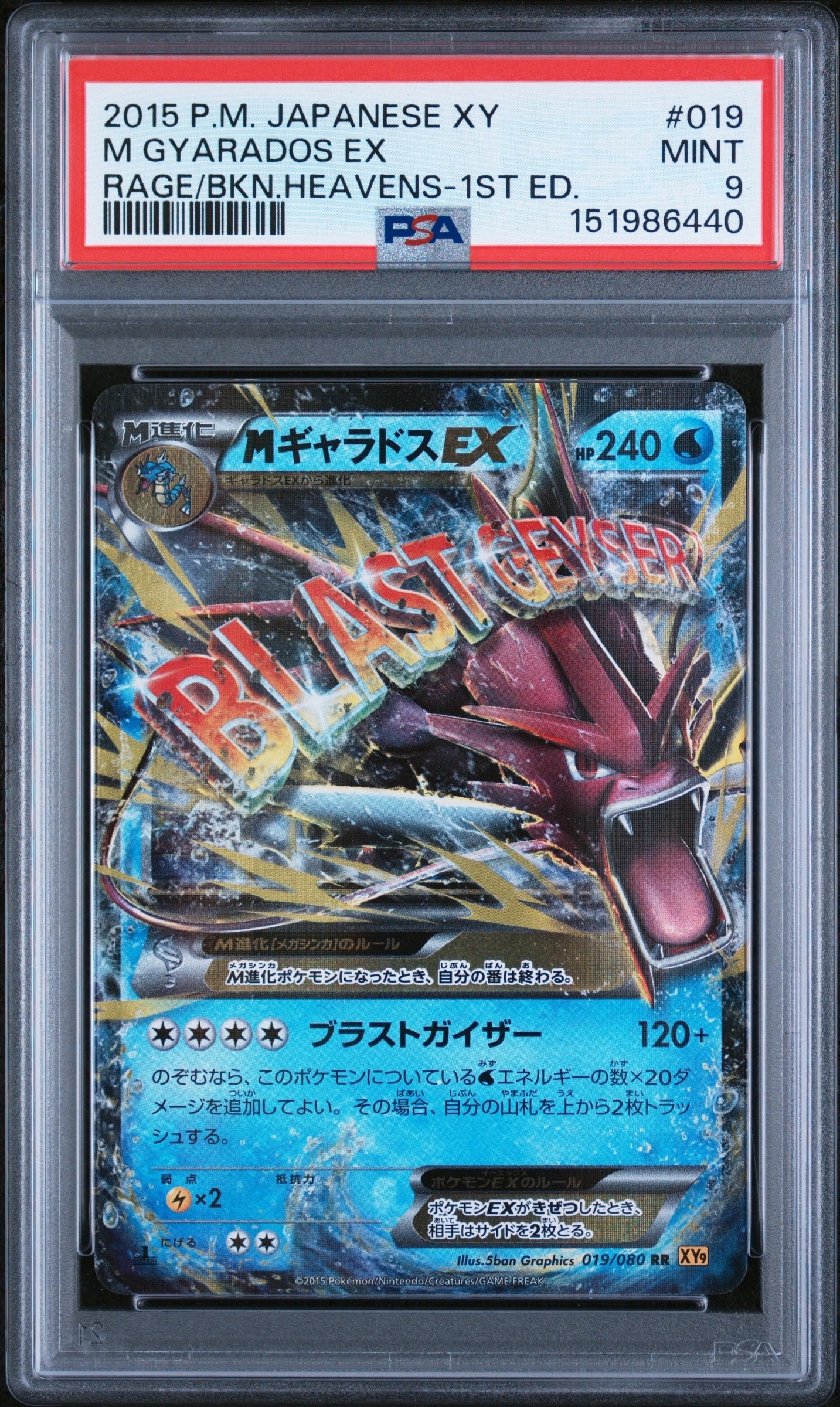 MギャラドスEX RR :1ED [XY9 019/080](拡張パック「破天の怒り」)
