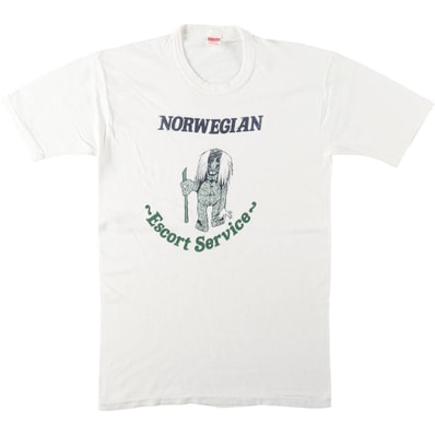 古着 70~80年代 Healthknit プリントTシャツ USA製 メンズL相当 ヴィンテージ/eaa636809