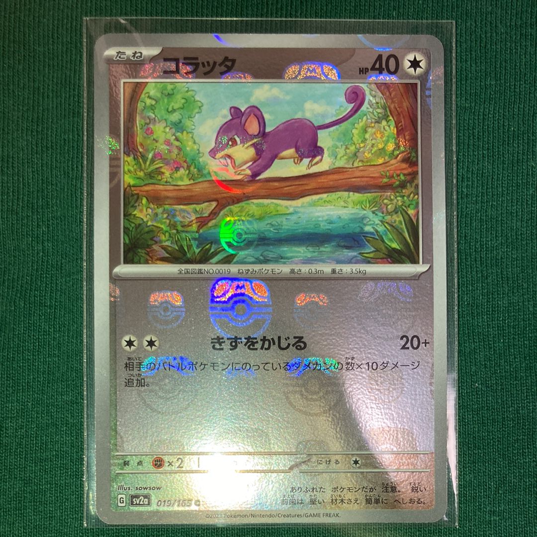 コラッタ C: マスターボールミラー[SV2a 019/165](強化拡張パック「ポケモンカード151」)