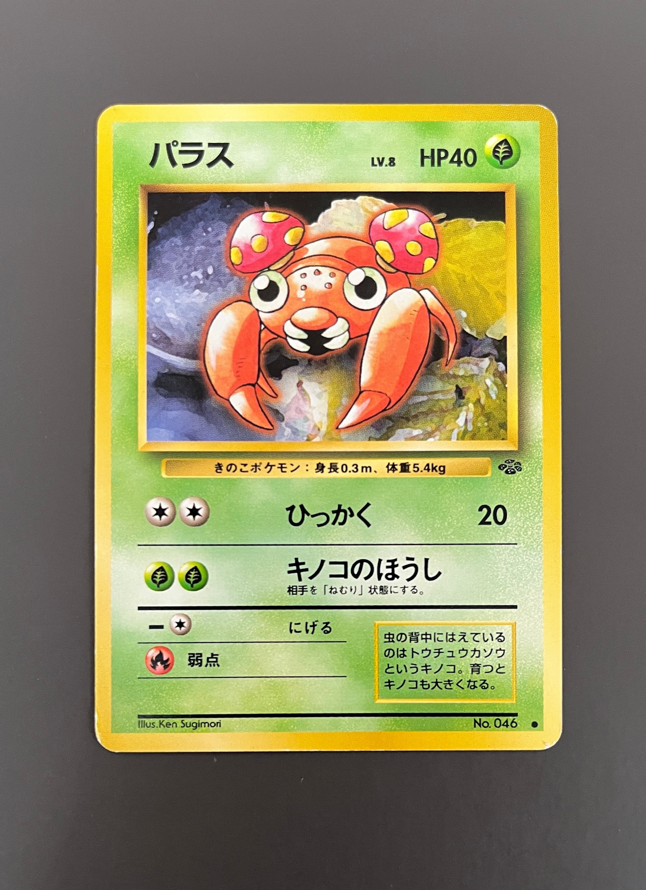 ブラッキー R[BW8-K 031/051](拡張パック「ライデンナックル」)の新品