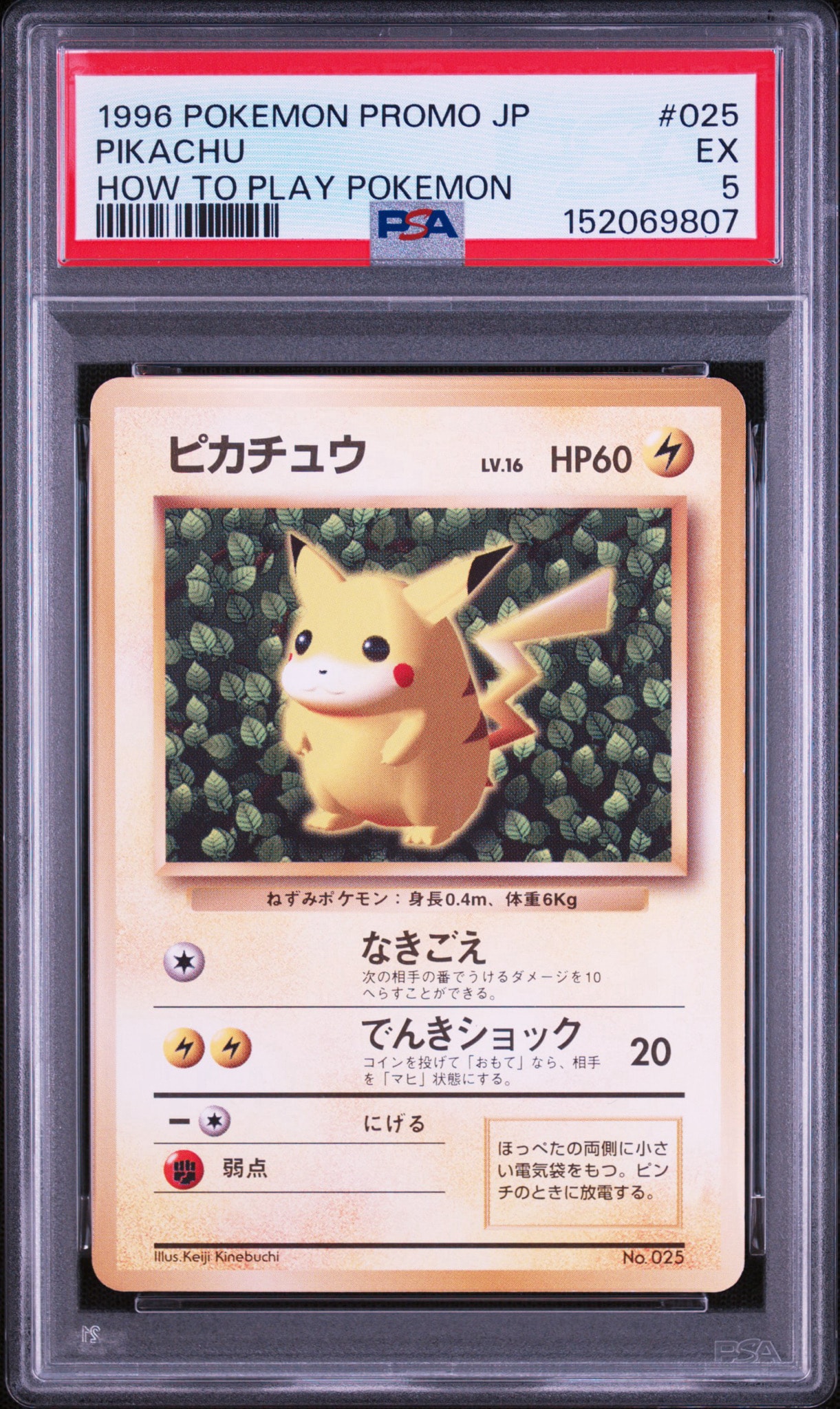 ピカチュウ P : 旧裏 (※ 光沢なし) [PMCG-P No.025](プロモーションカード「すぐわかるポケモンカードの遊びかた」)