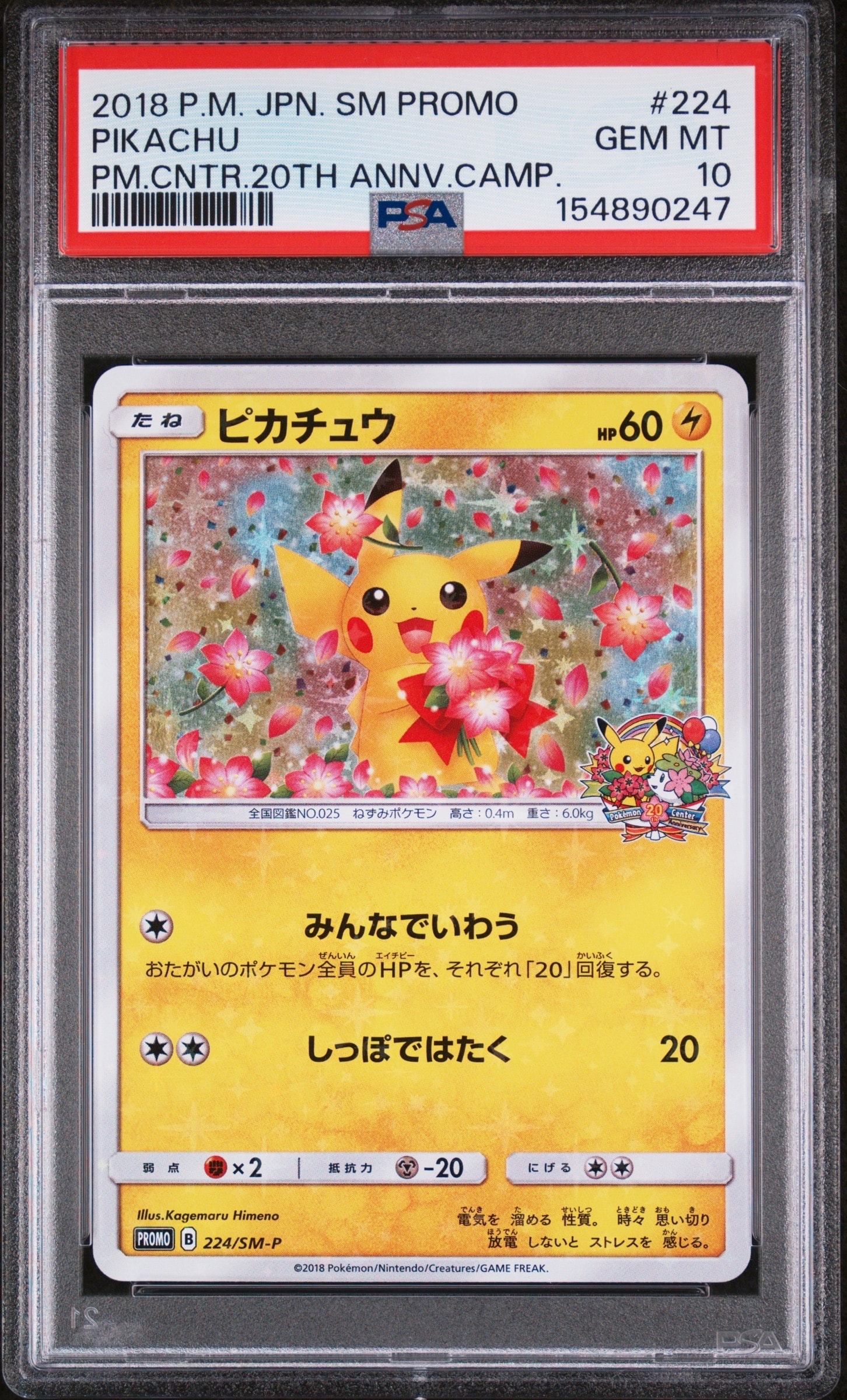 ピカチュウ 224/SM-P PROMO ピカチュウ: プロモ[SM-P 224](プロモーションカード「SM-P」)の新品
