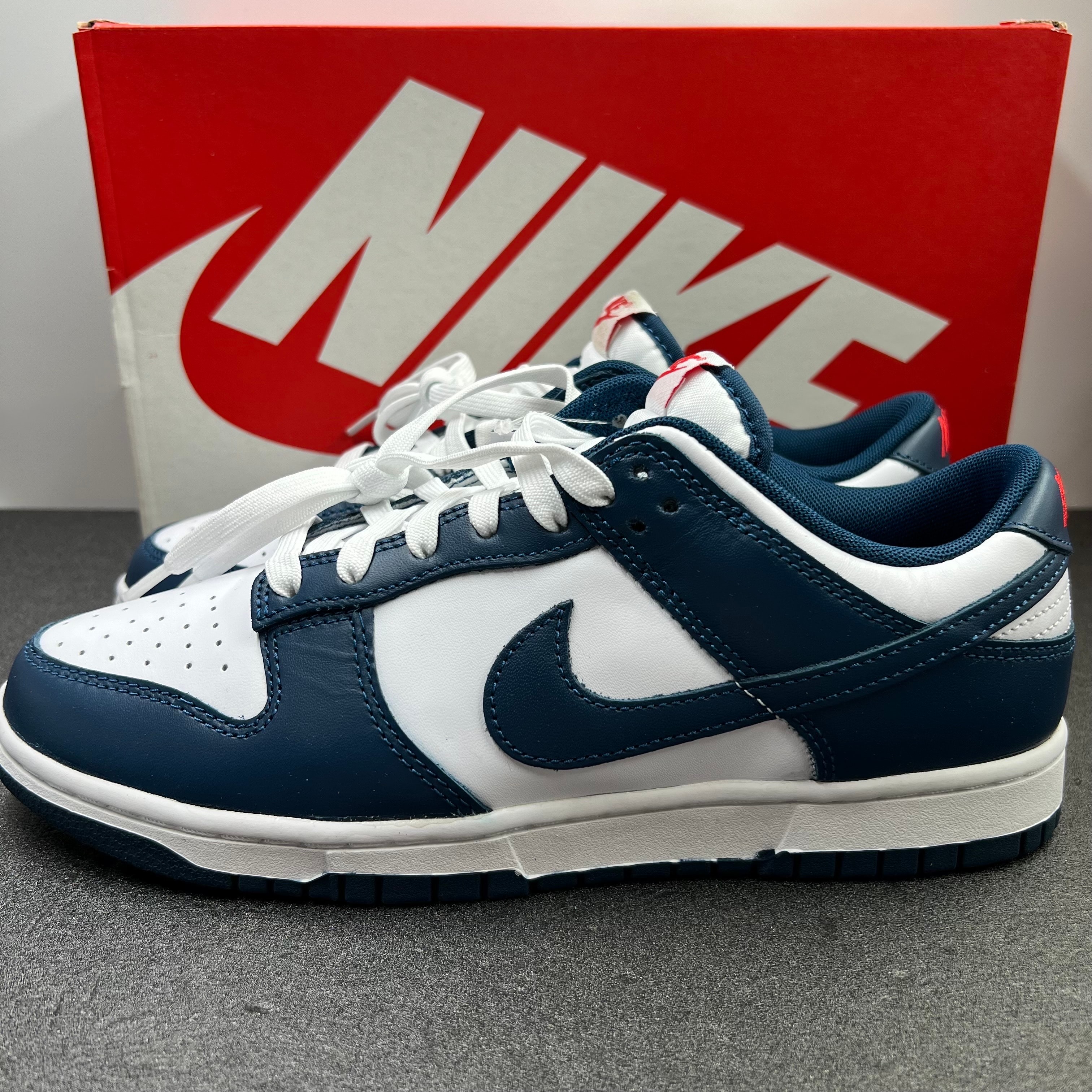 Nike Dunk Low "Valerian Blue"