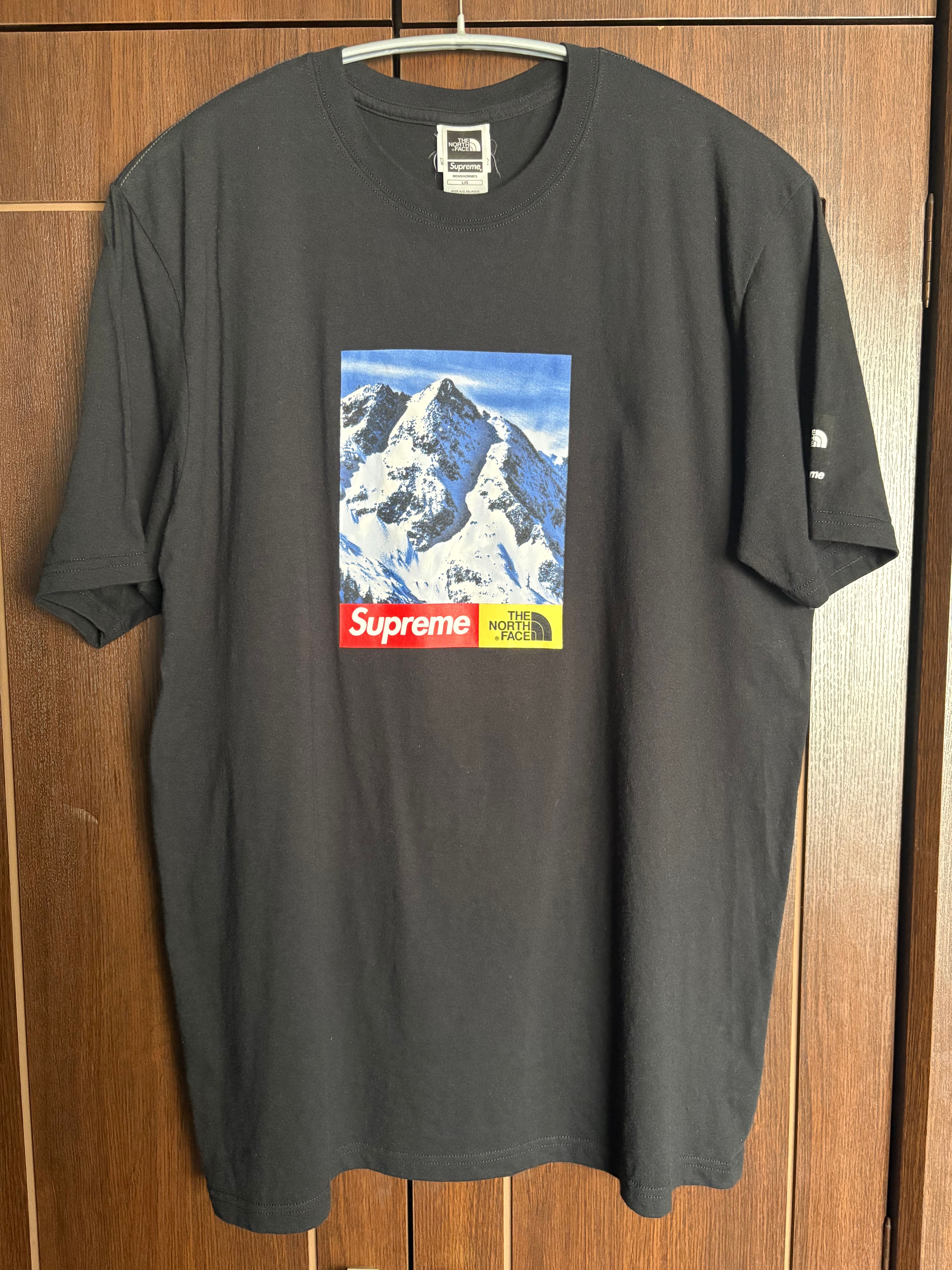 シュプリーム ザノースフェイス マウンテン Tシャツ "ブラック"