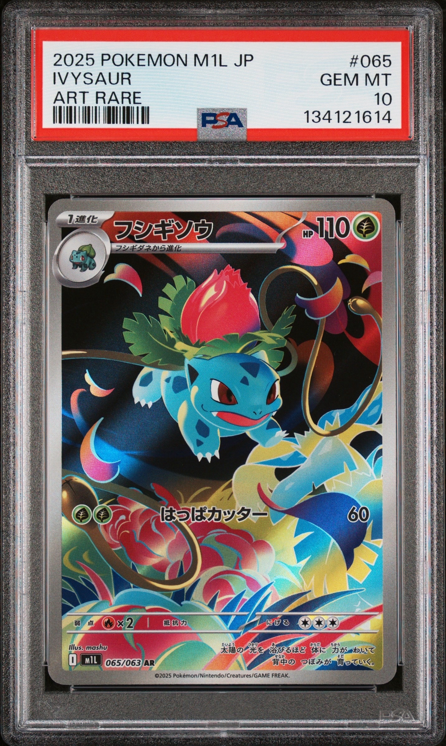 PSA10】フシギソウ AR [M1L 065/063](拡張パック「メガブレイブ」) 1枚