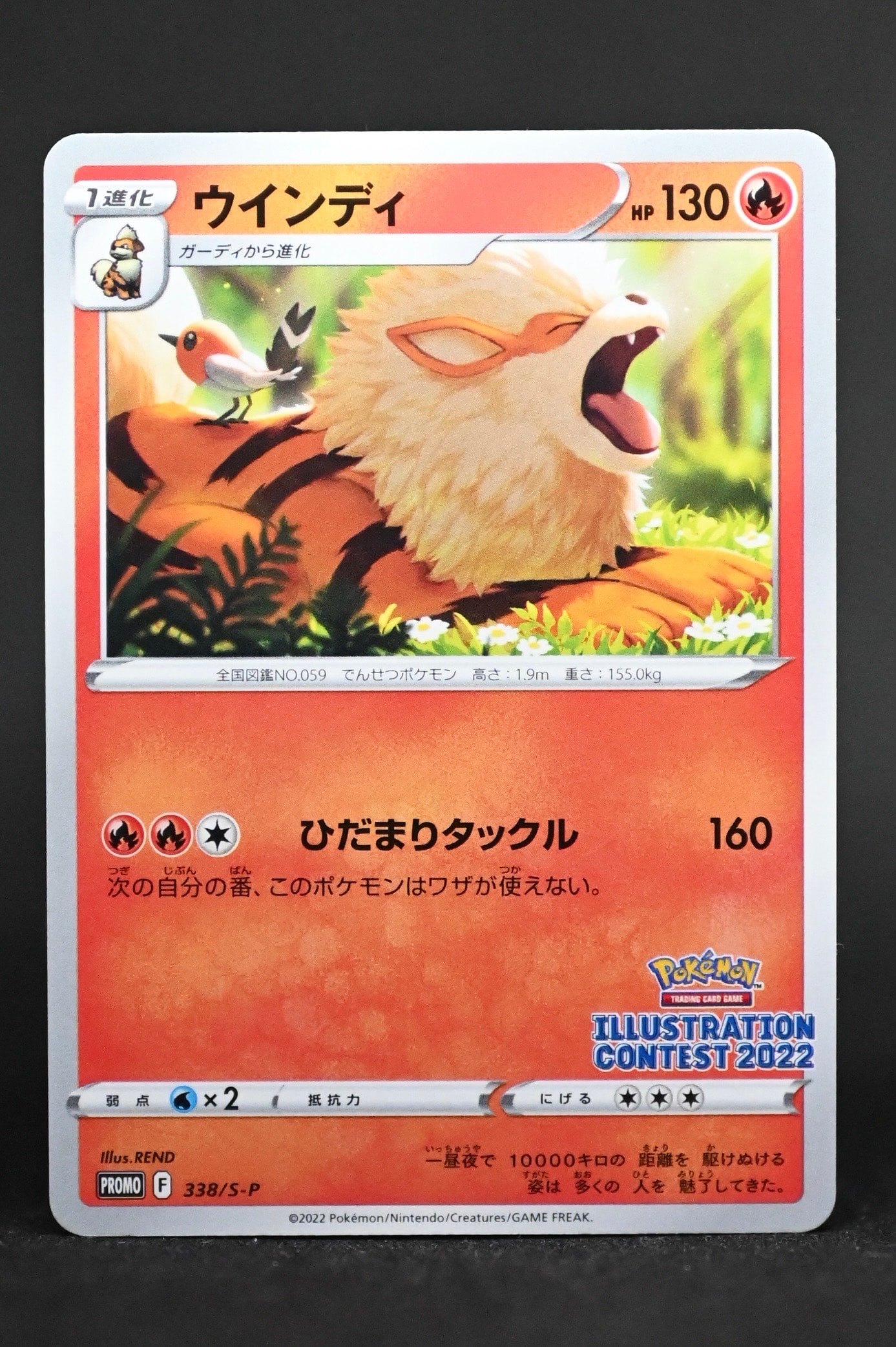 ウインディ プロモ[PROMO338 S-P](プロモーションカード「ポケモンセンター・ポケモンストア・ポケモンセンターオンライン2000円以上購入特典」)