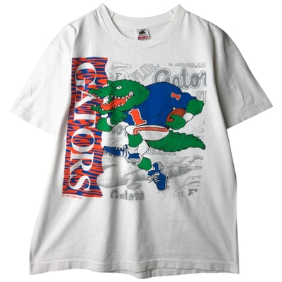 古着 90年代 フルーツオブザルーム FRUIT OF THE LOOM カレッジTシャツ USA製 メンズL相当 ヴィンテージ/eaa641676