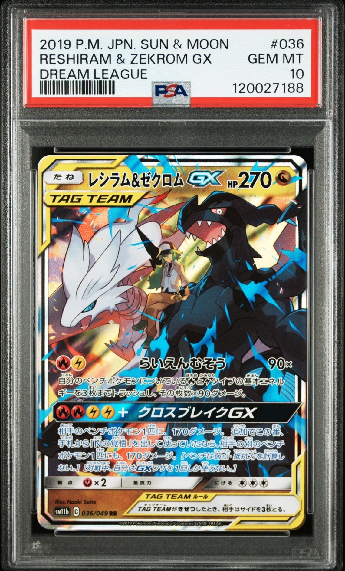 レシラム&ゼクロムGX (N) RR[SM11b 036/049](強化拡張パック「ドリームリーグ」)