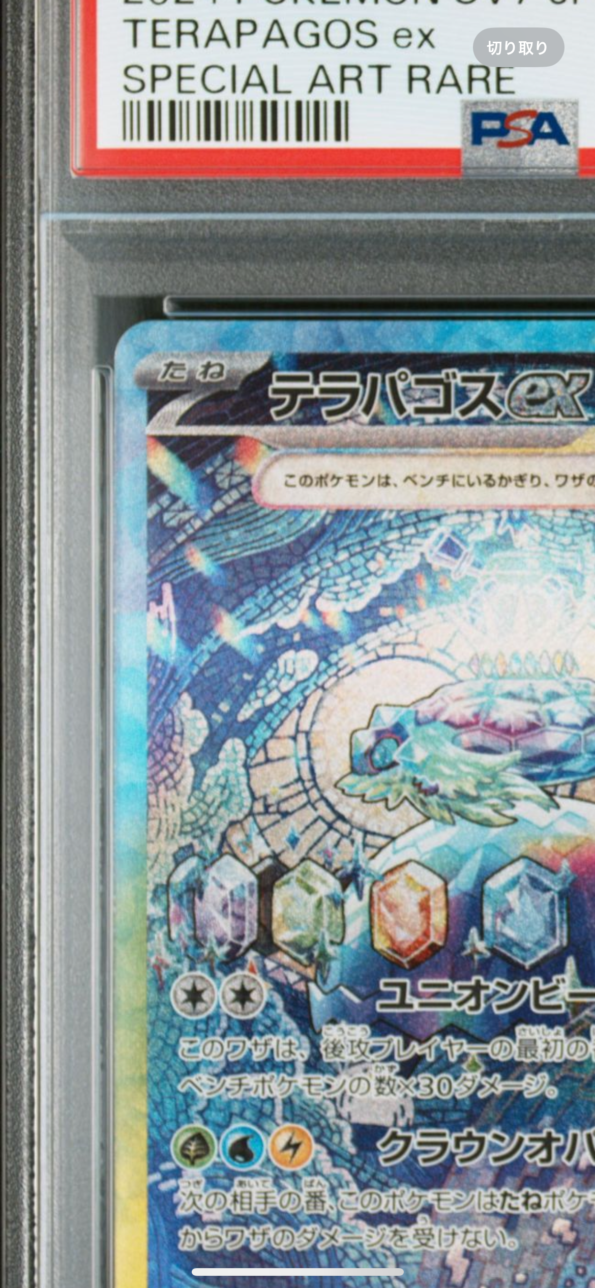 テラパゴスex SAR [SV7 130/102](拡張パック「ステラミラクル」)