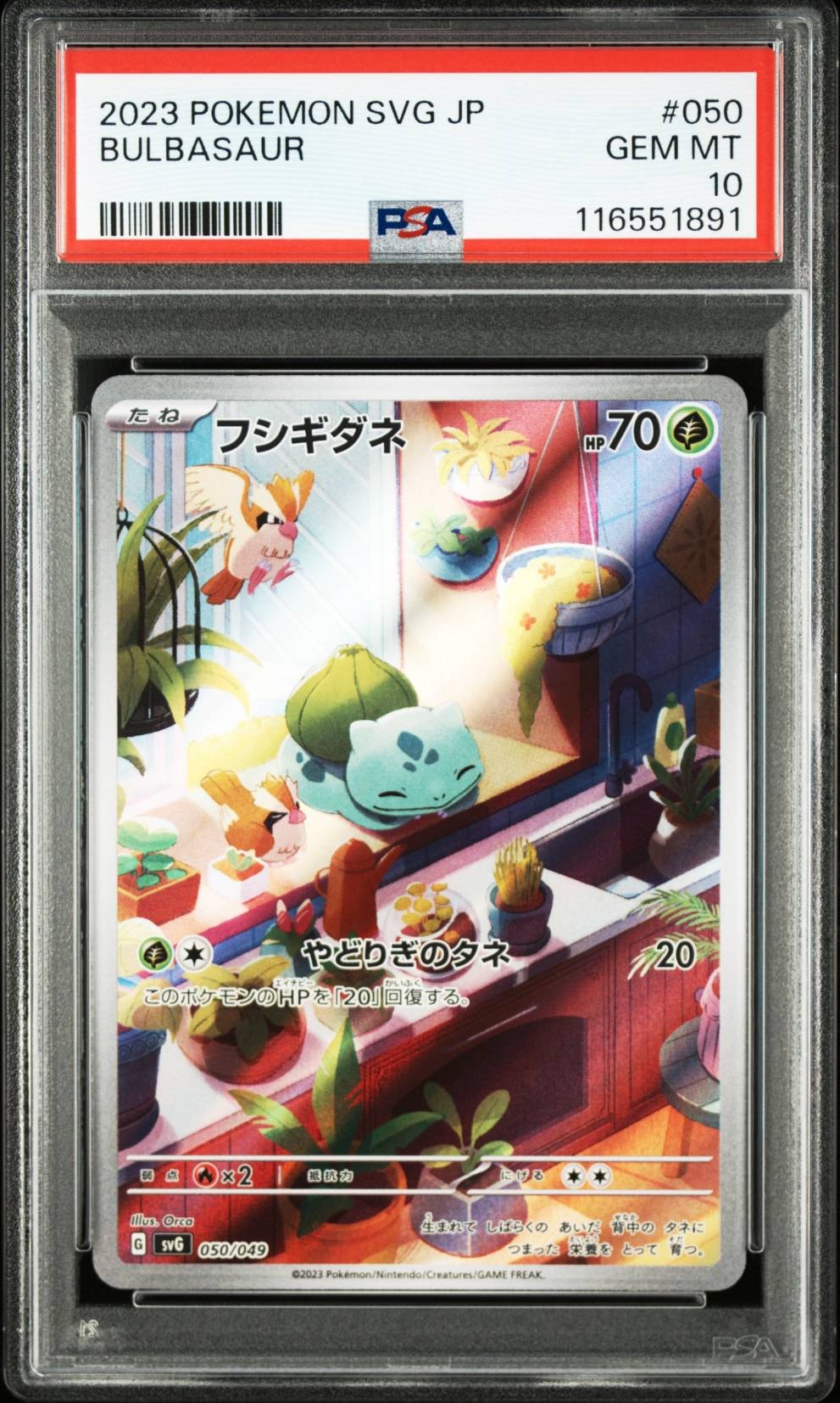 フシギダネ :フルイラスト [SVG 050/049](スペシャルデッキセットex「フシギバナ・リザードン・カメックス」)