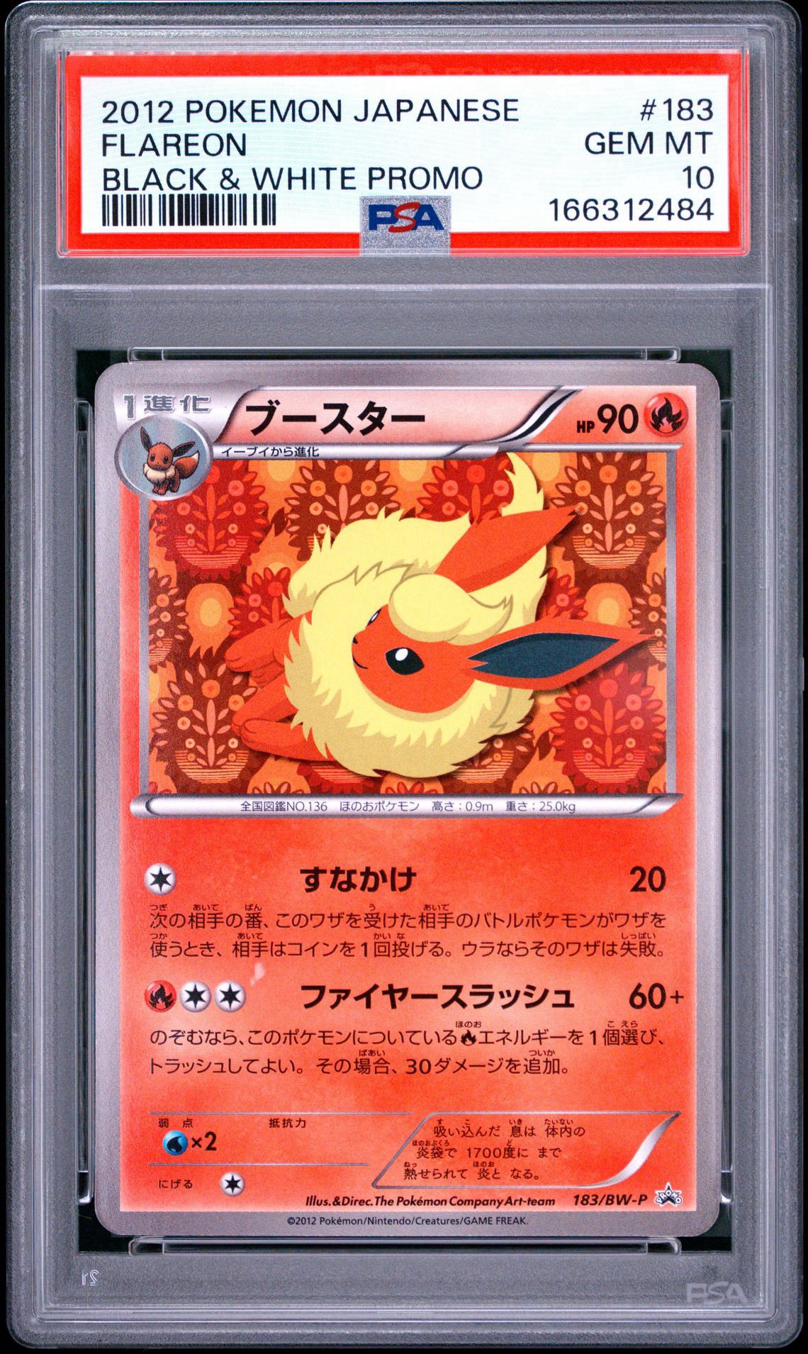 Flareon P [BW-P 183/BW-P](Promotional Cards "Collection File Eevee Collection Special Card")