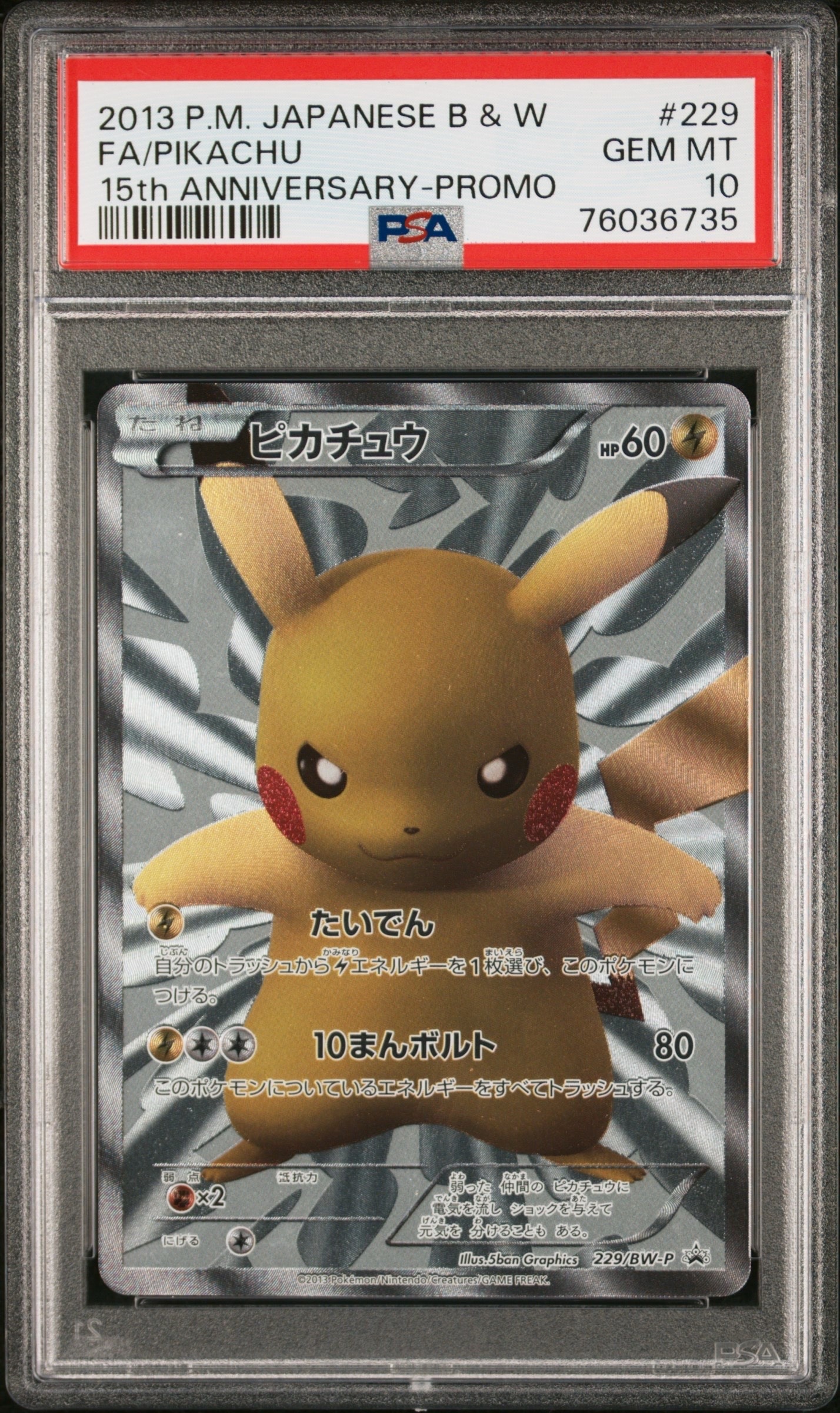 ピカチュウ P [BW-P 229/BW-P](プロモーションカード「ポケモン