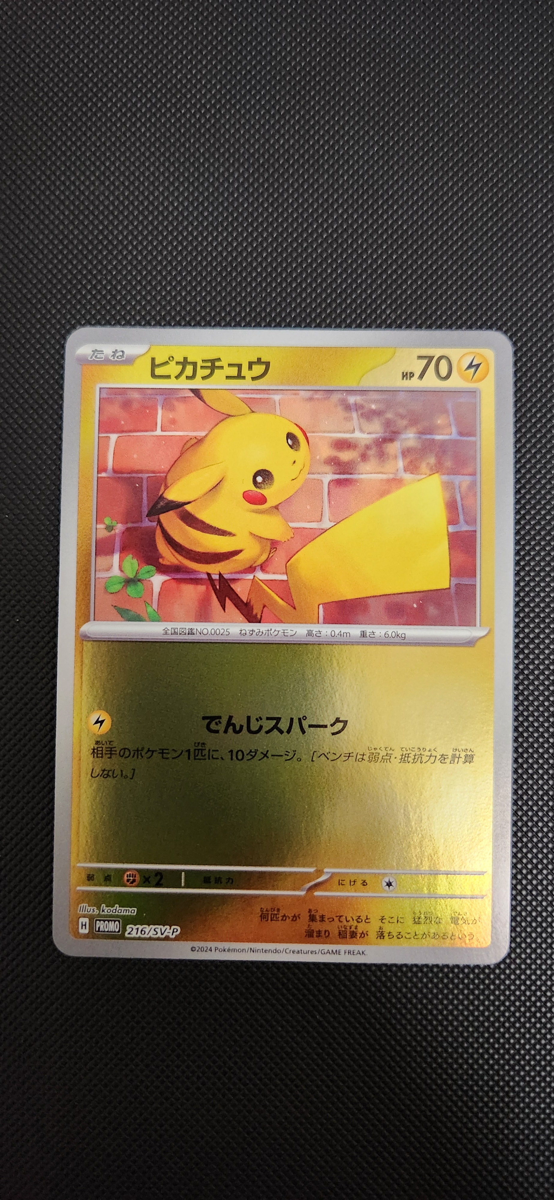 ピカチュウ P [SV-P 216](プロモカードパック「ポケカの夏がキタ!プロモカードGetキャンペーン!」)