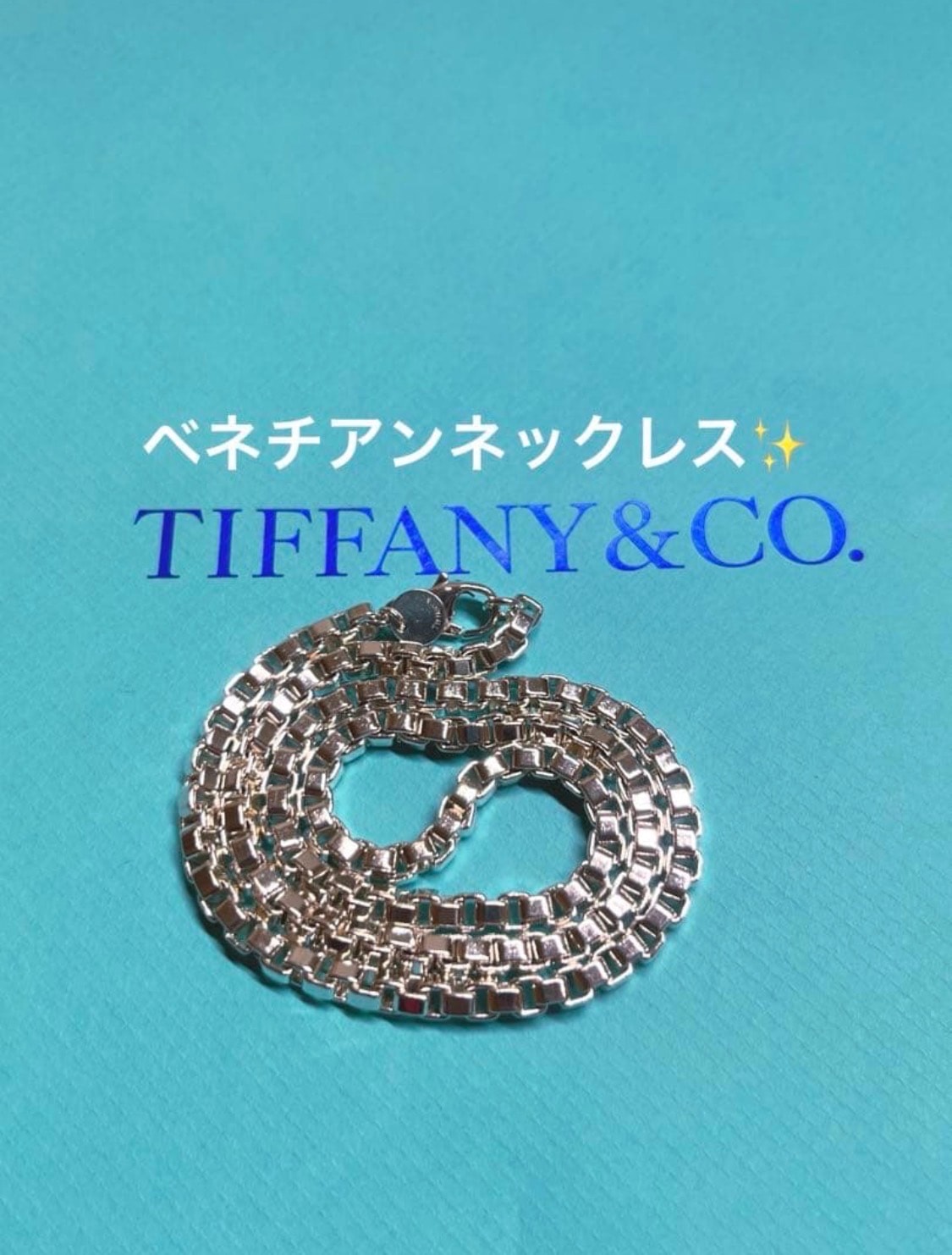 Tiffany & Co Venetian Link Necklace