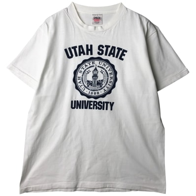 古着 90年代 オニータ ONEITA POWER-T カレッジTシャツ USA製 メンズXL相当 ヴィンテージ/eaa641666