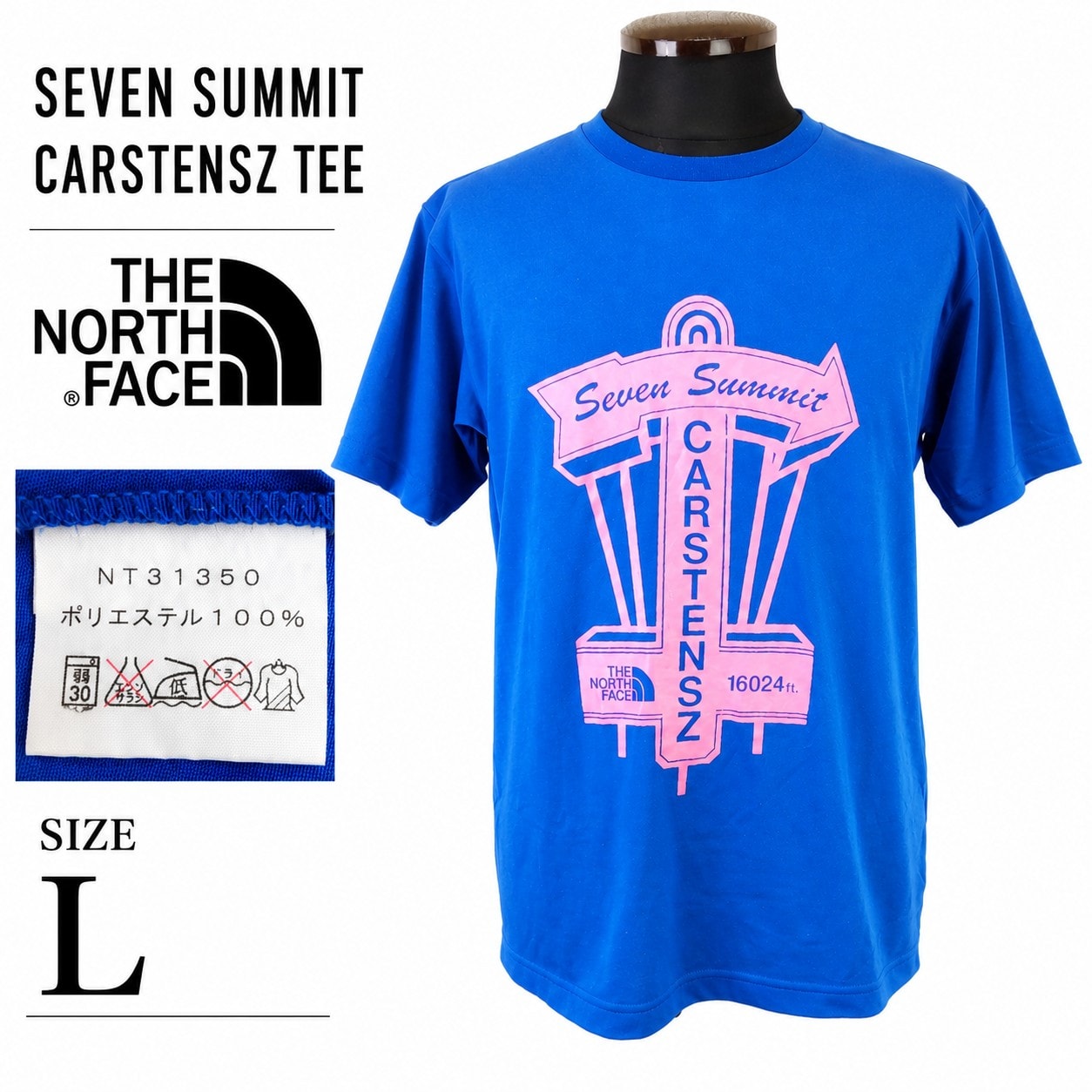 希少品★THE NORTH FACE/ノースフェイス★Seven Summit/Carstensz/半袖Tシャツ【メンズL/青/blue】ゴールドウィン/日本正規代理店タグ/Tops/Shirt◆BJ181-h
