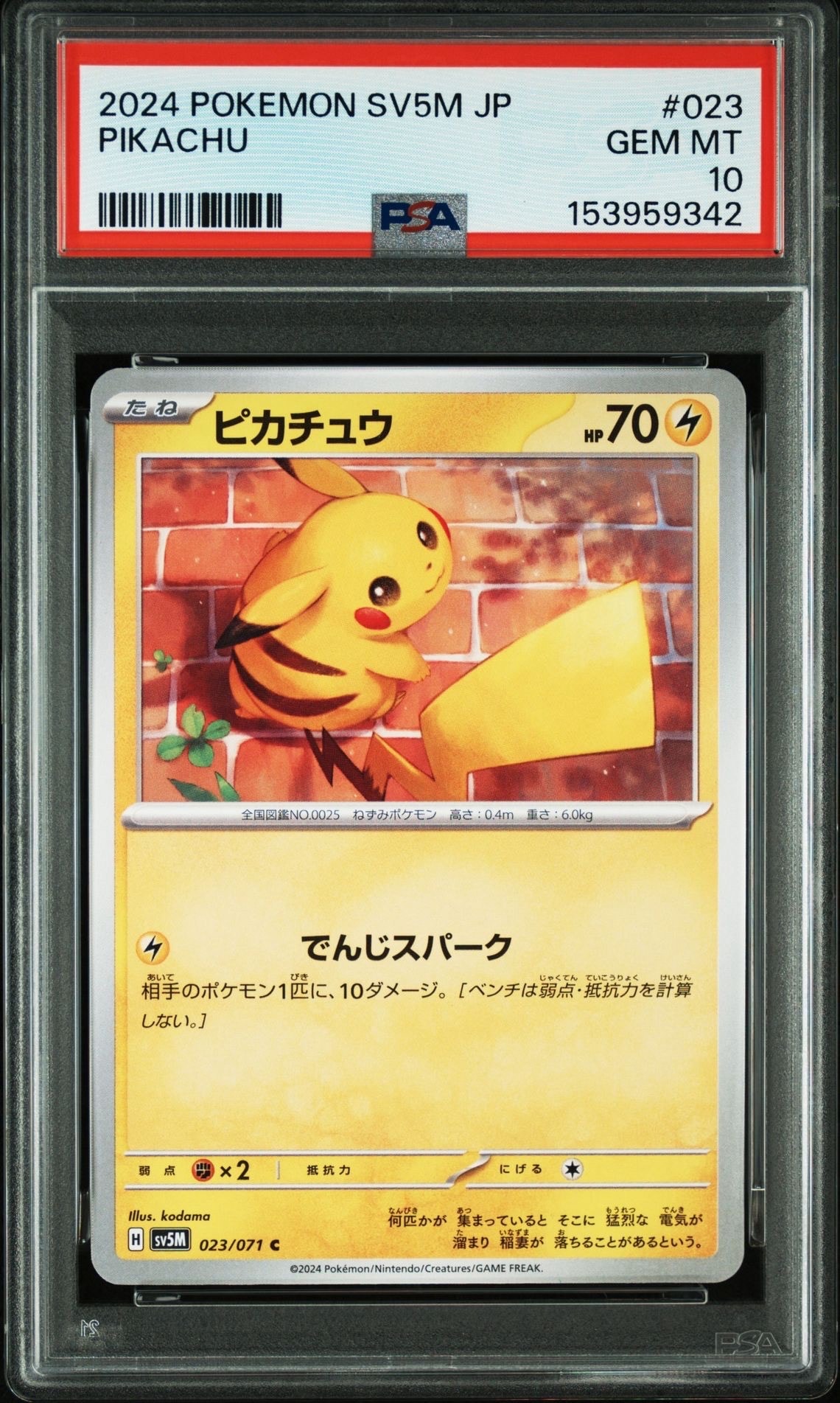ピカチュウ: プロモ[SM-P 224](プロモーションカード「SM-P」)の新品