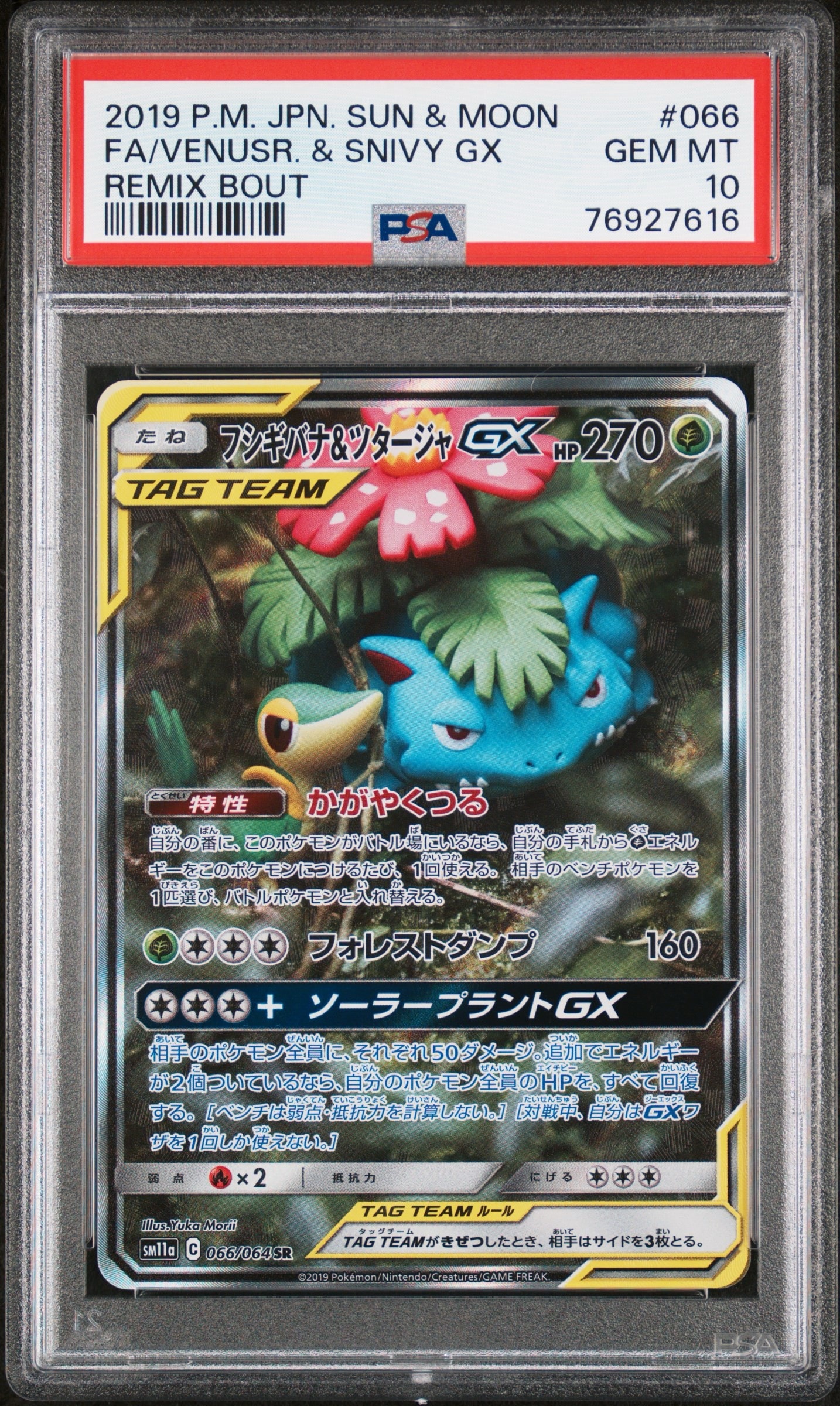 PSA10】フシギバナ&ツタージャGX SR[SM11a 065/064](強化拡張パック