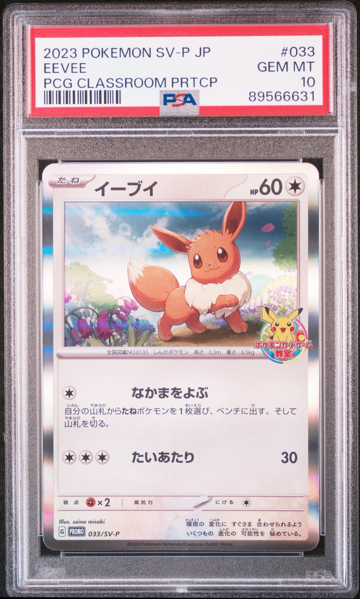 イーブイ: プロモ [SV-P 033](「 ポケモンカードゲーム教室」プロモーションカード「SV-P」)