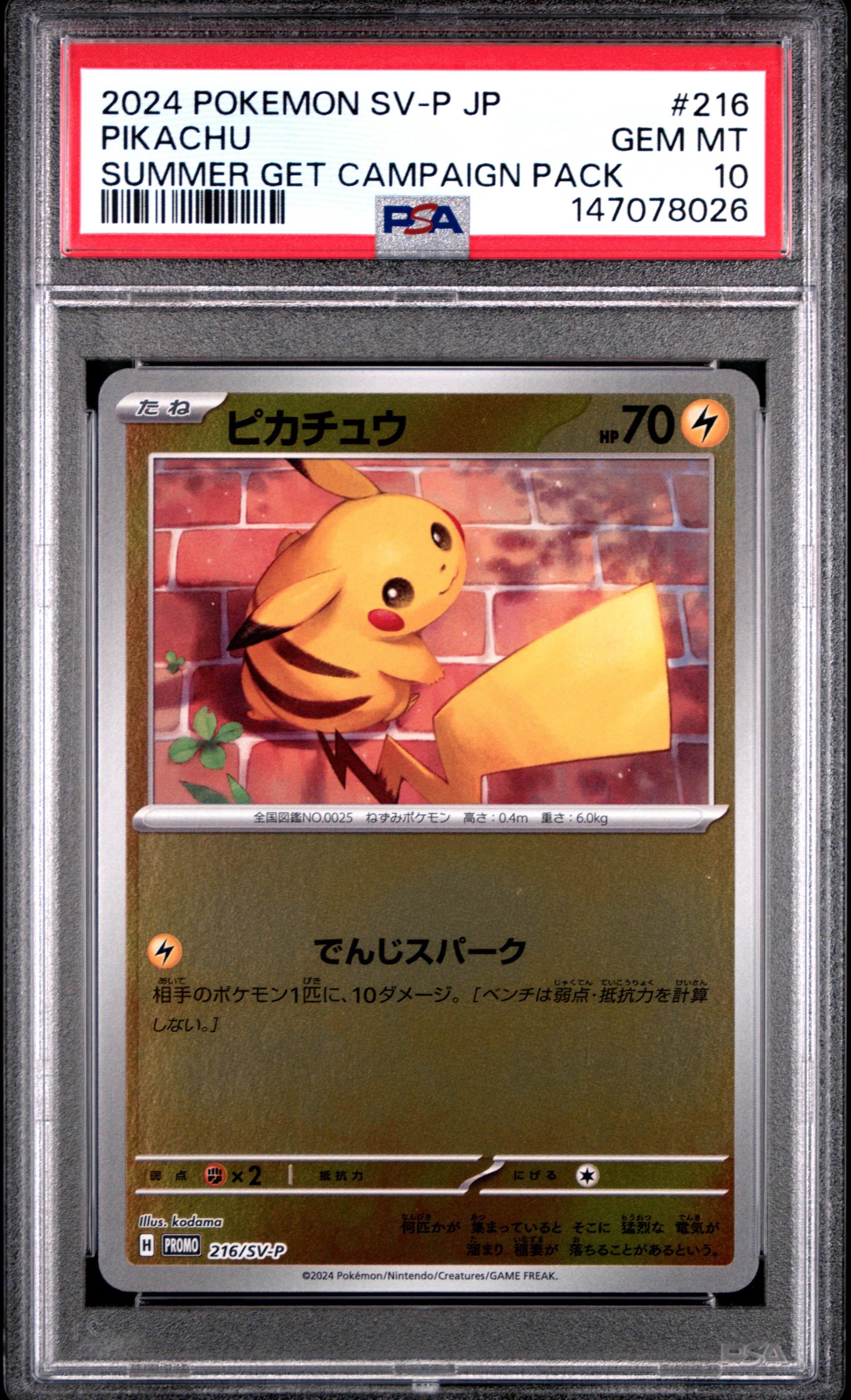 ピカチュウ P [SV-P 216](プロモカードパック「ポケカの夏がキタ!プロモカードGetキャンペーン!」)